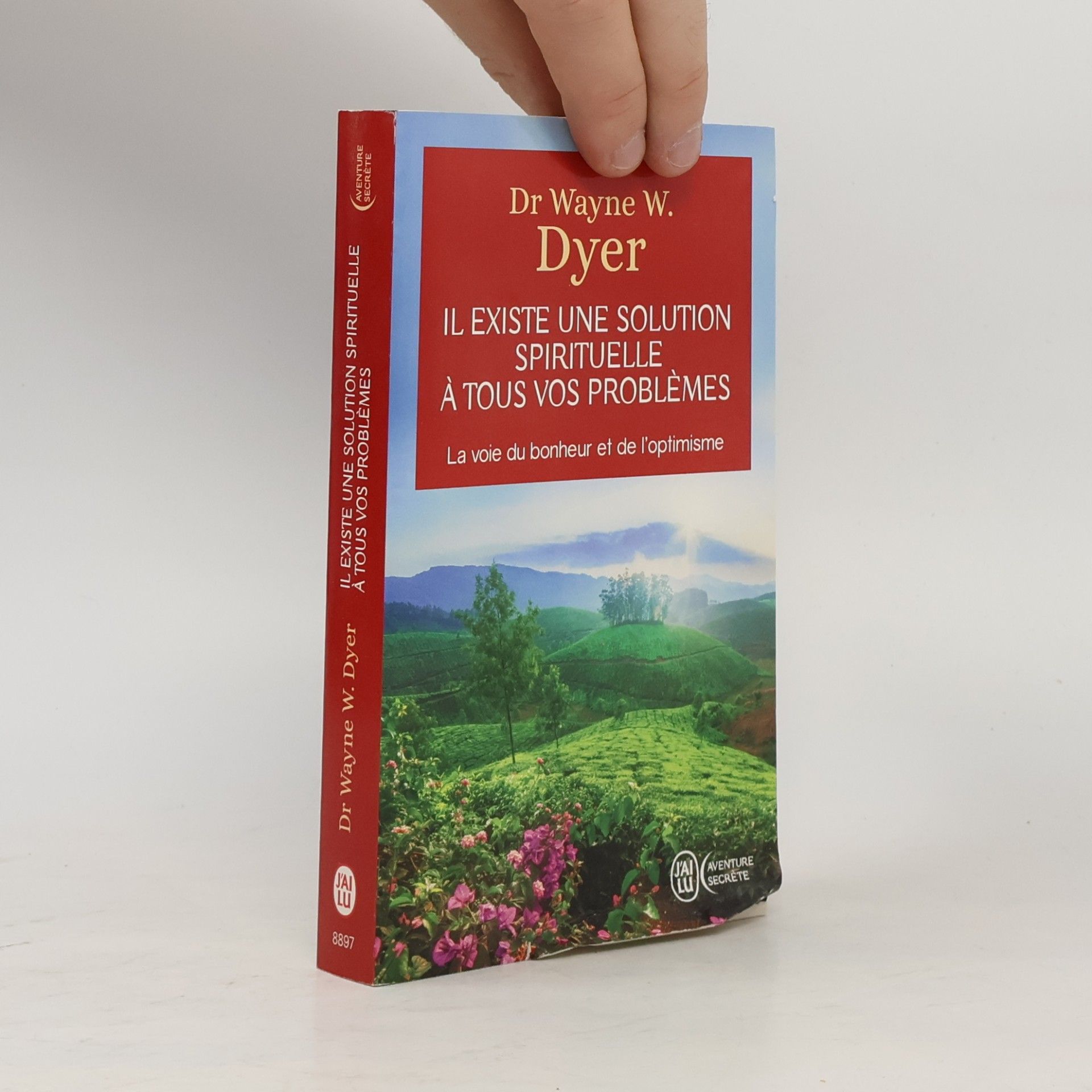 Wayne W. Dyer Il existe une solution spirituelle à tous vos problèmes