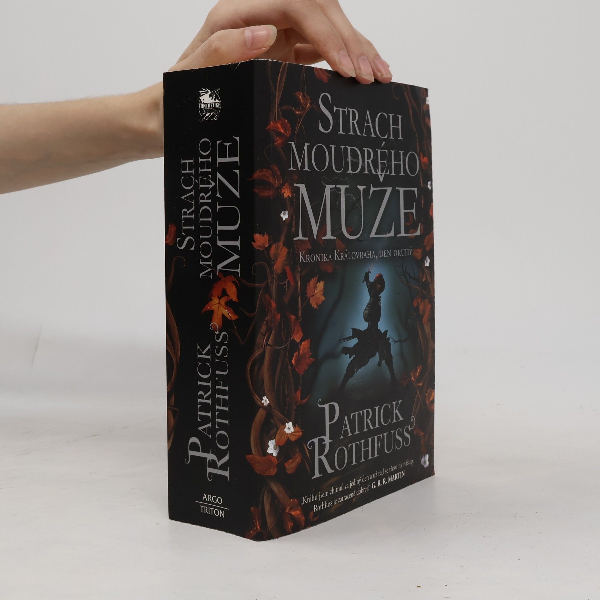 Patrick Rothfuss Strach moudrého muže