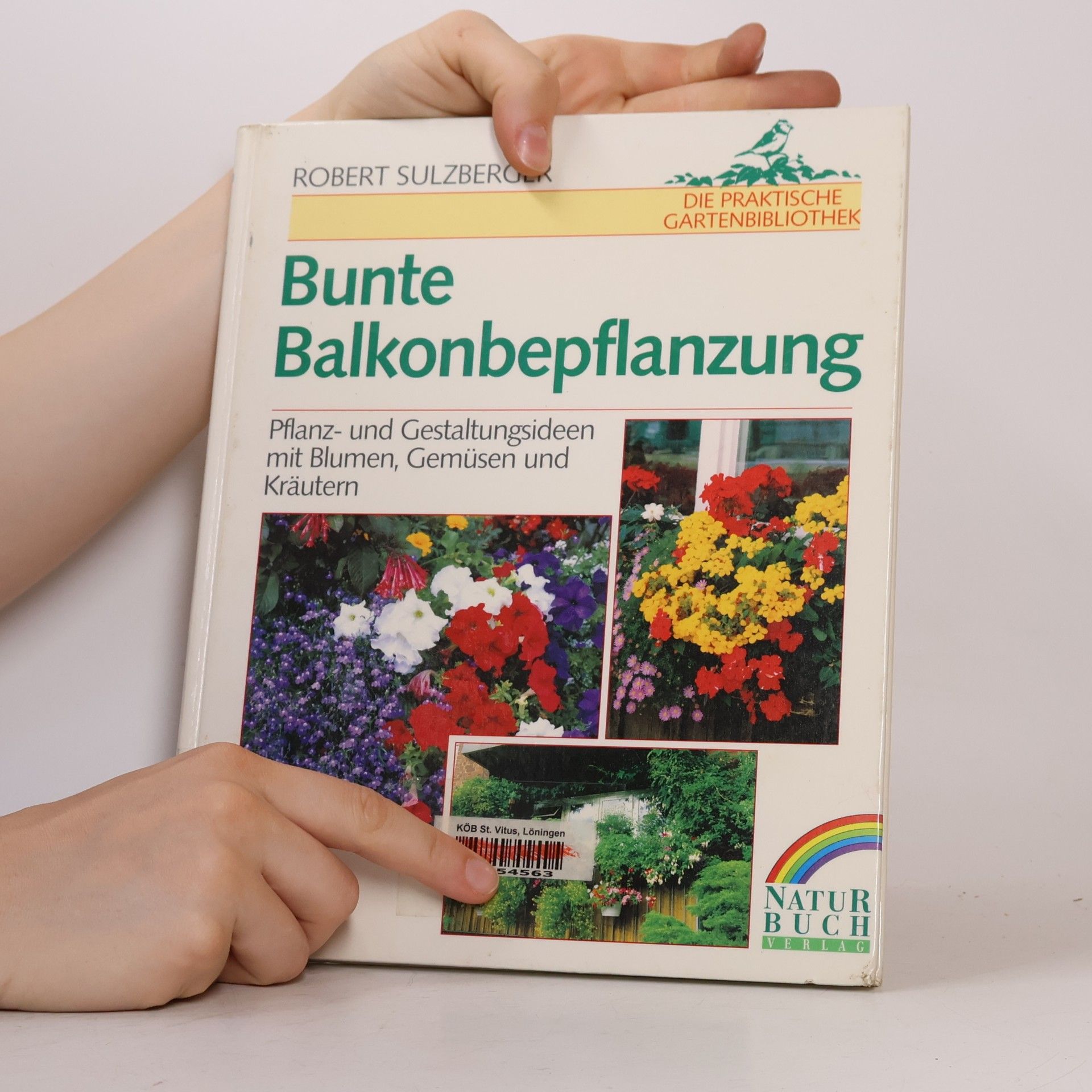 Robert Sulzberger Bunte Balkonbepflanzung