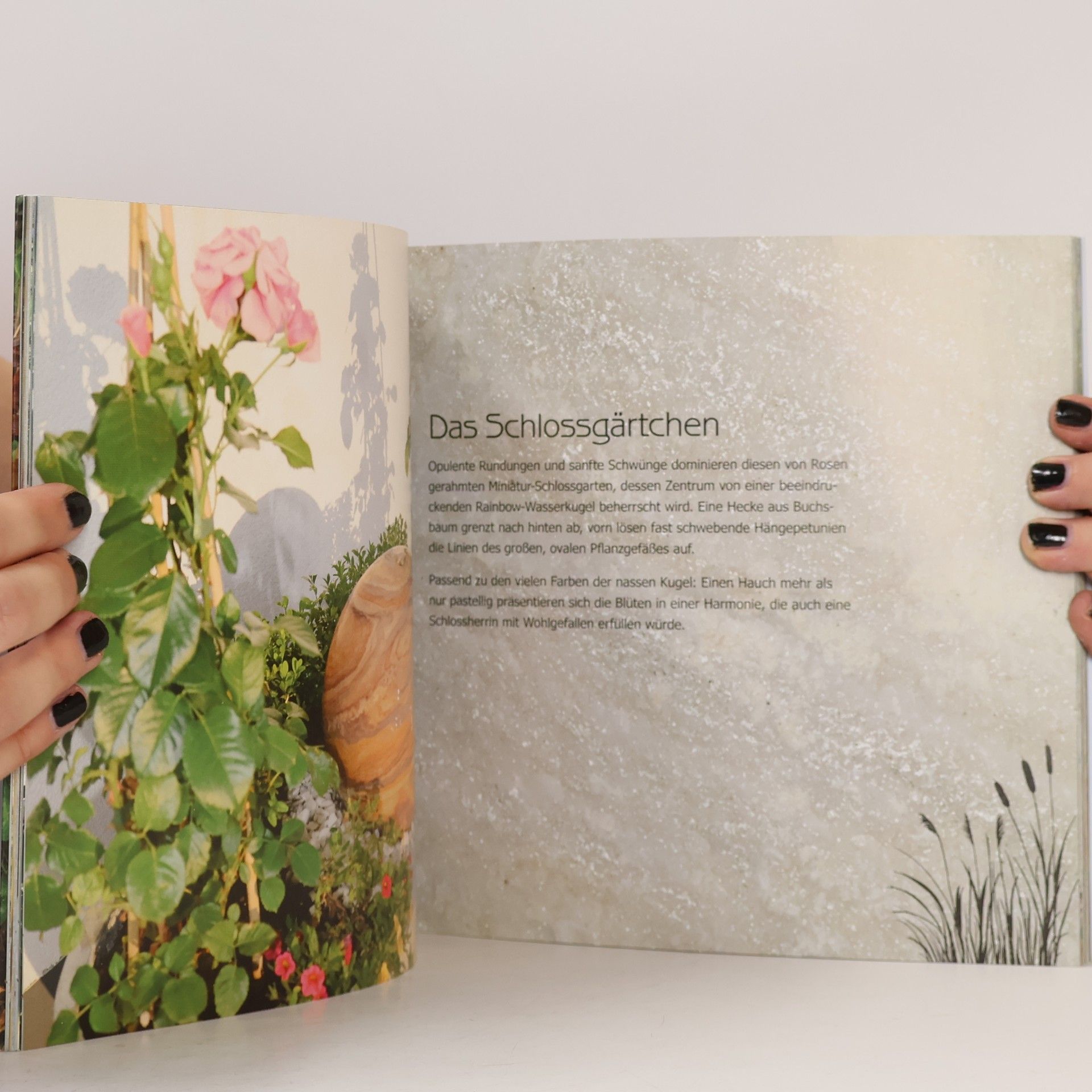 Sonja Storz Kleine Wasserwelten für drinnen & draußen