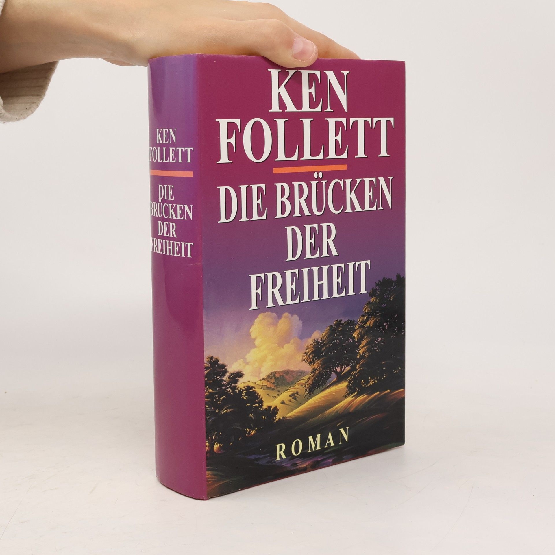 Ken Follett Die Brücken der Freiheit