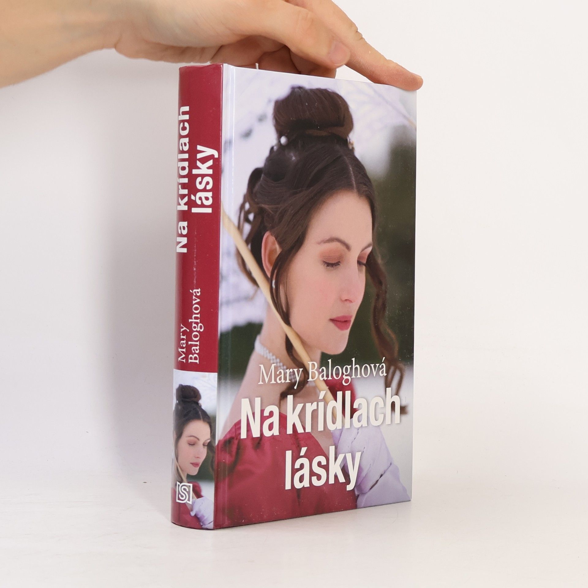 Mary Jenkins Na krídlach lásky