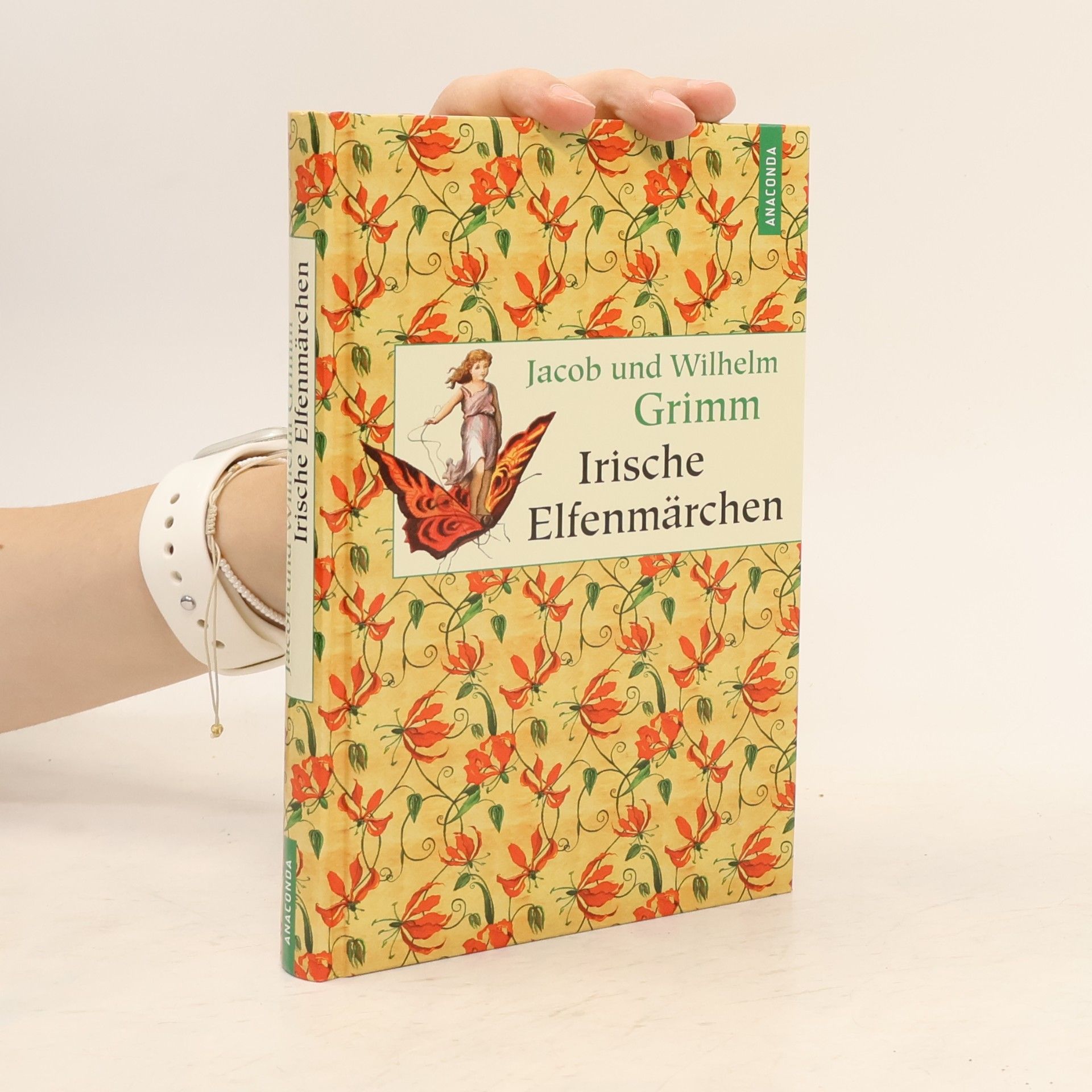 Jacob Ludwig Karl Grimm Irische Elfenmärchen
