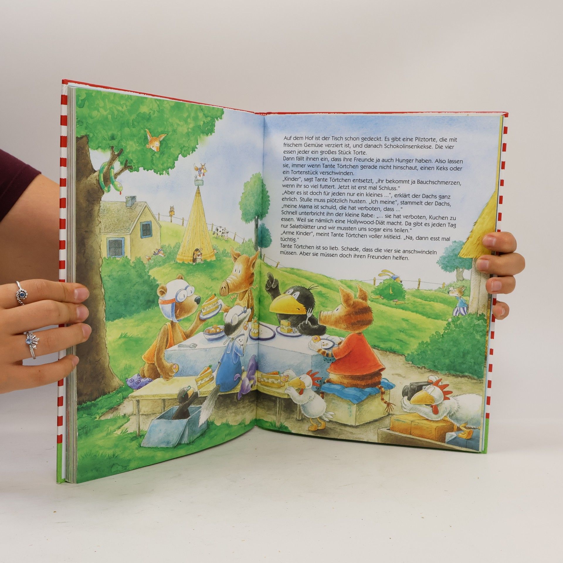 Nele Moost Der kleine Rabe Socke: Das große Buch vom kleinen Raben Socke