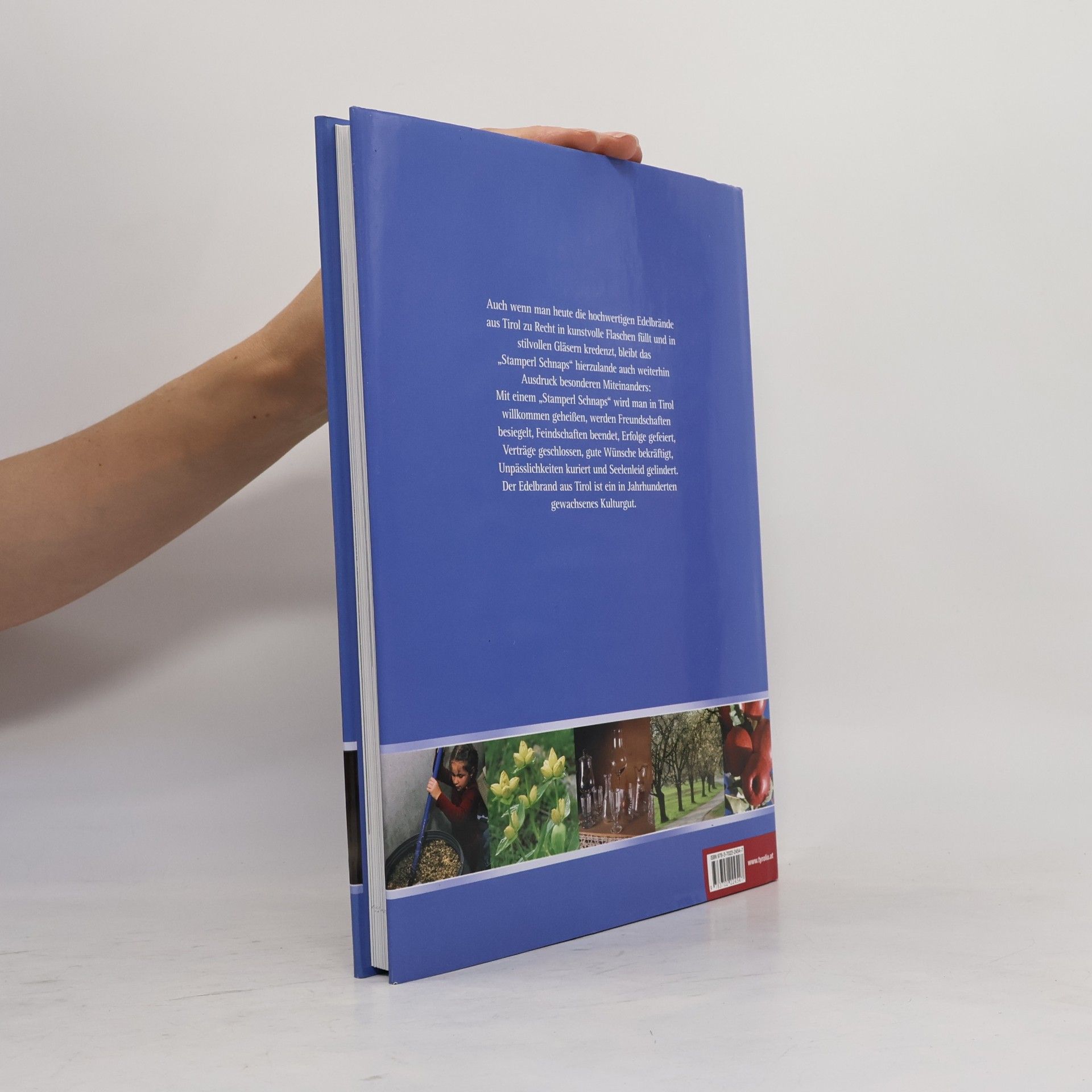 Wendelin Juen Das Tiroler Schnaps-Buch