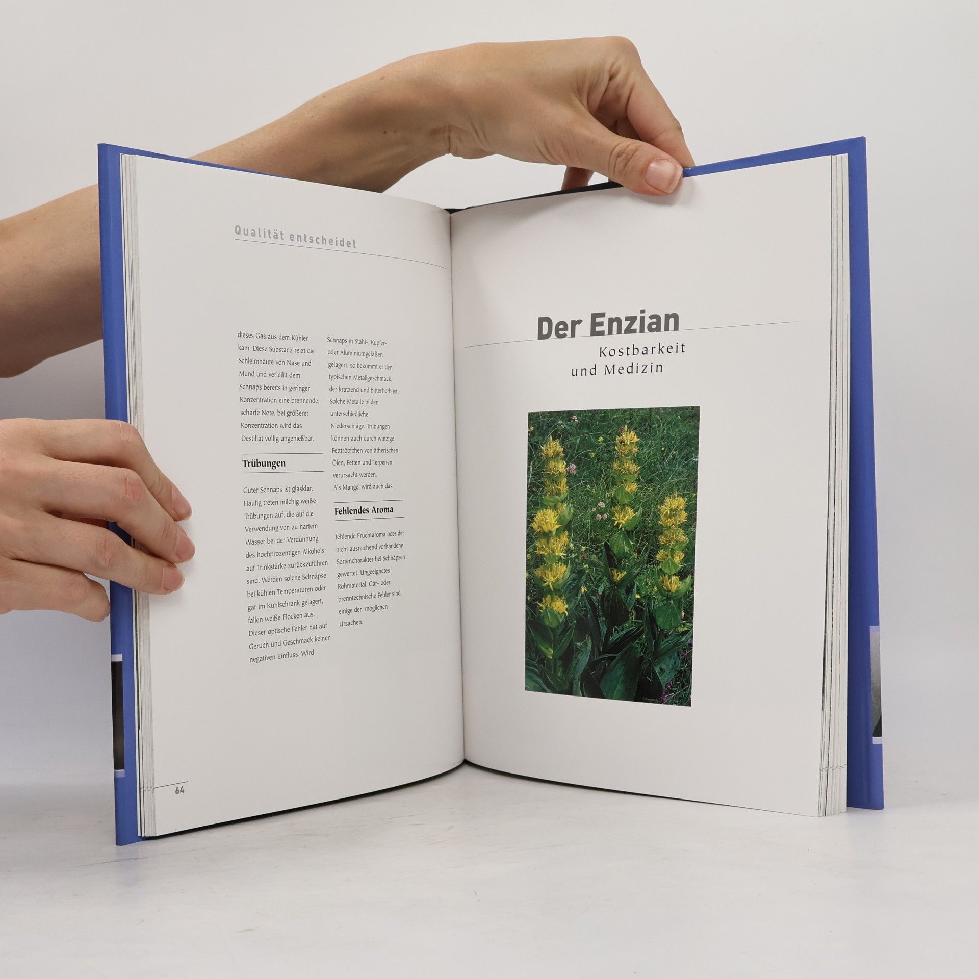 Wendelin Juen Das Tiroler Schnaps-Buch