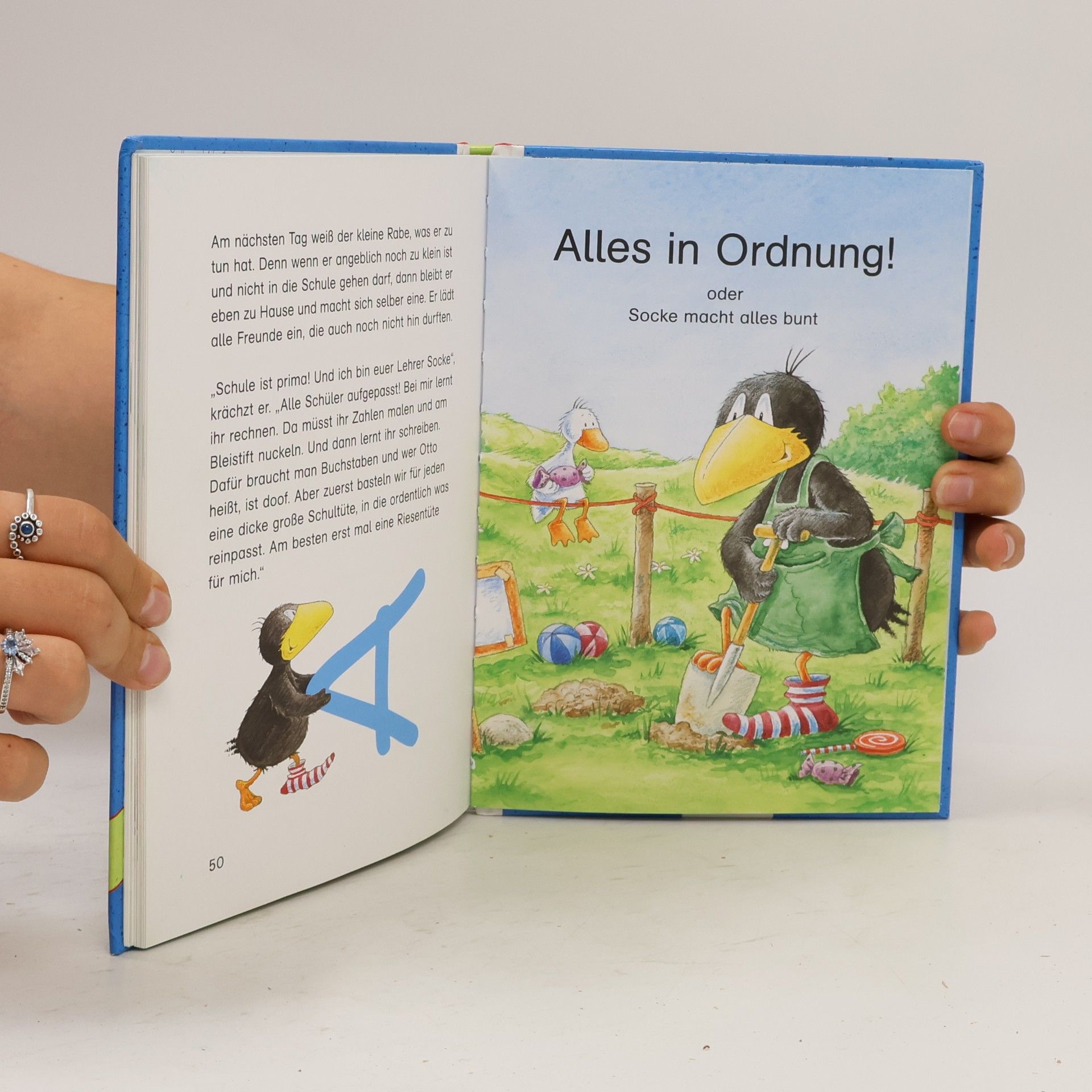 Nele Moost Alles Geschichten vom kleinen Raben Socke