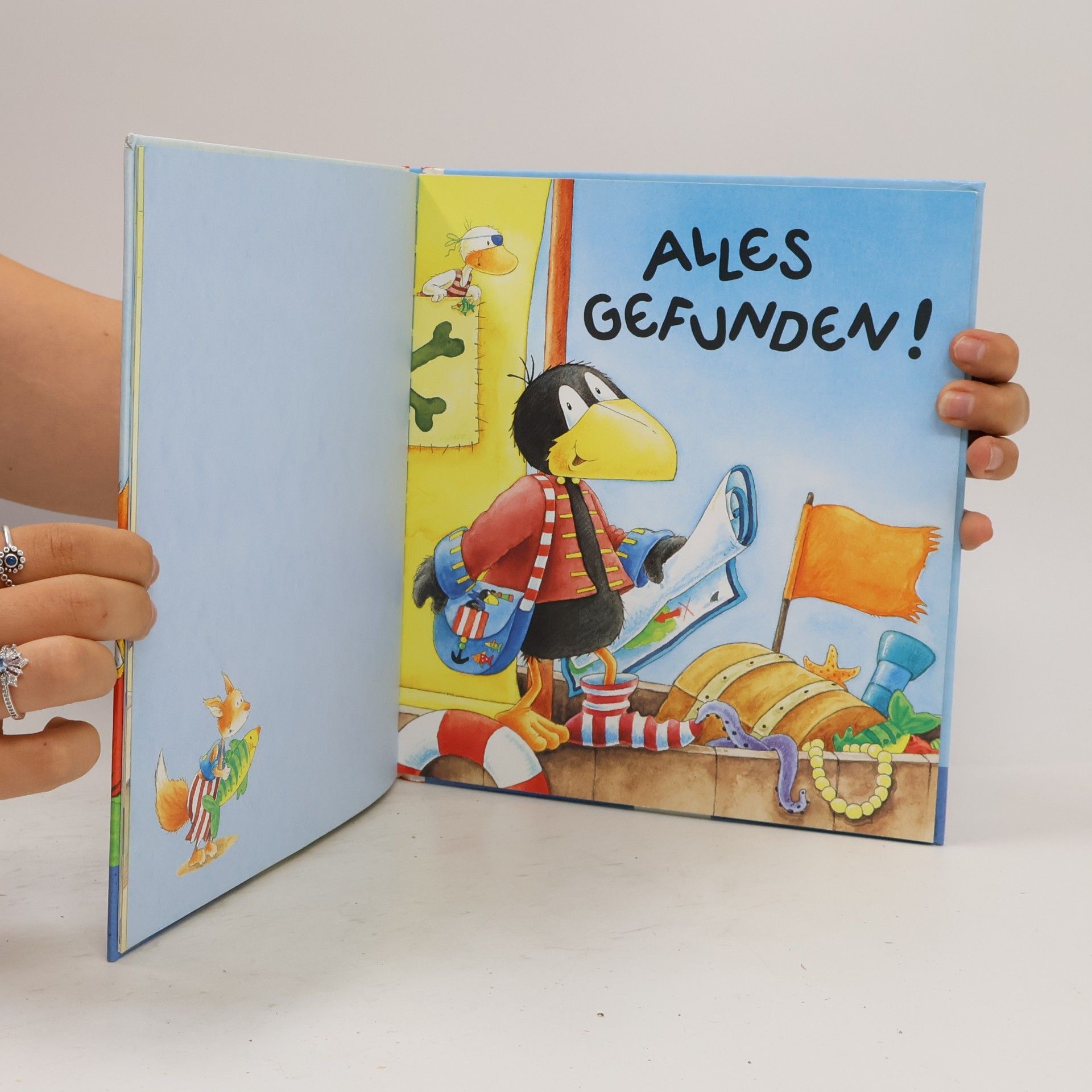 Nele Moost Alles Abenteuer mit dem kleinen Raben Socke