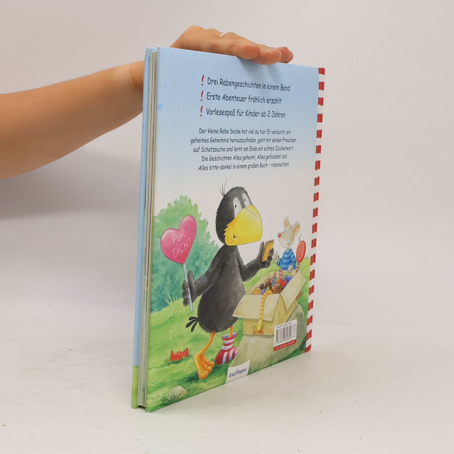 Nele Moost Mein erstes grosses Buch vom kleinen Raben Socke