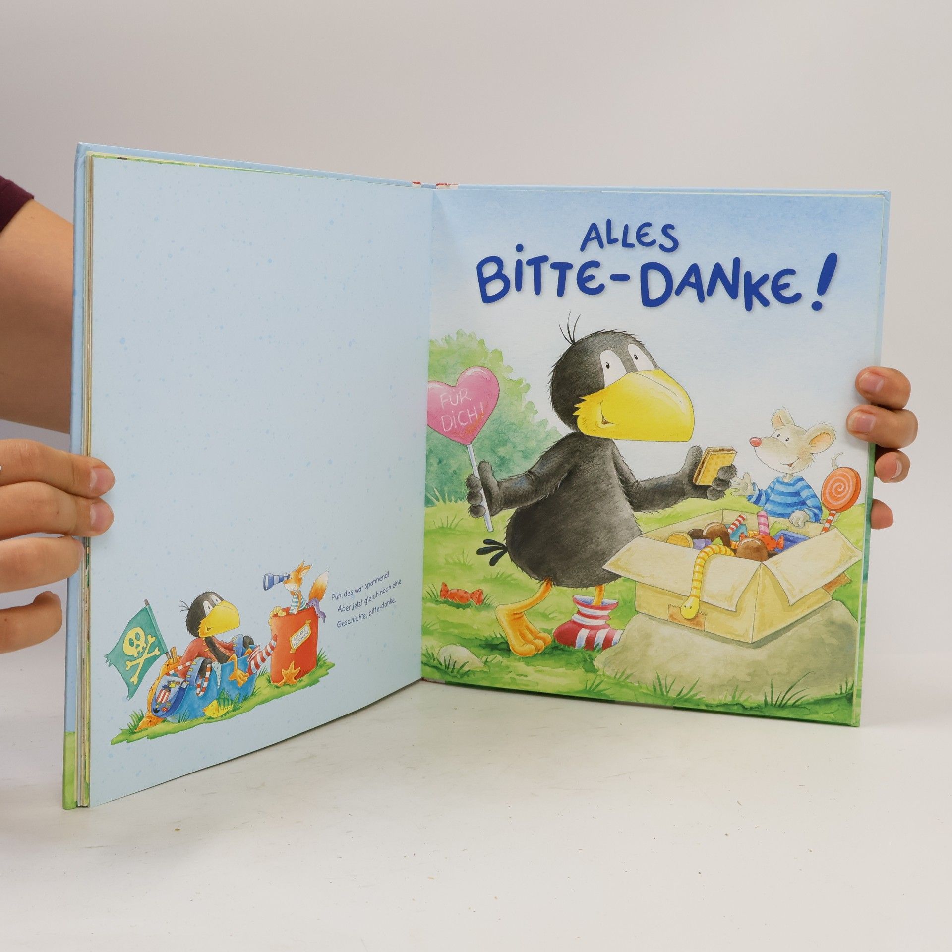 Nele Moost Mein erstes grosses Buch vom kleinen Raben Socke