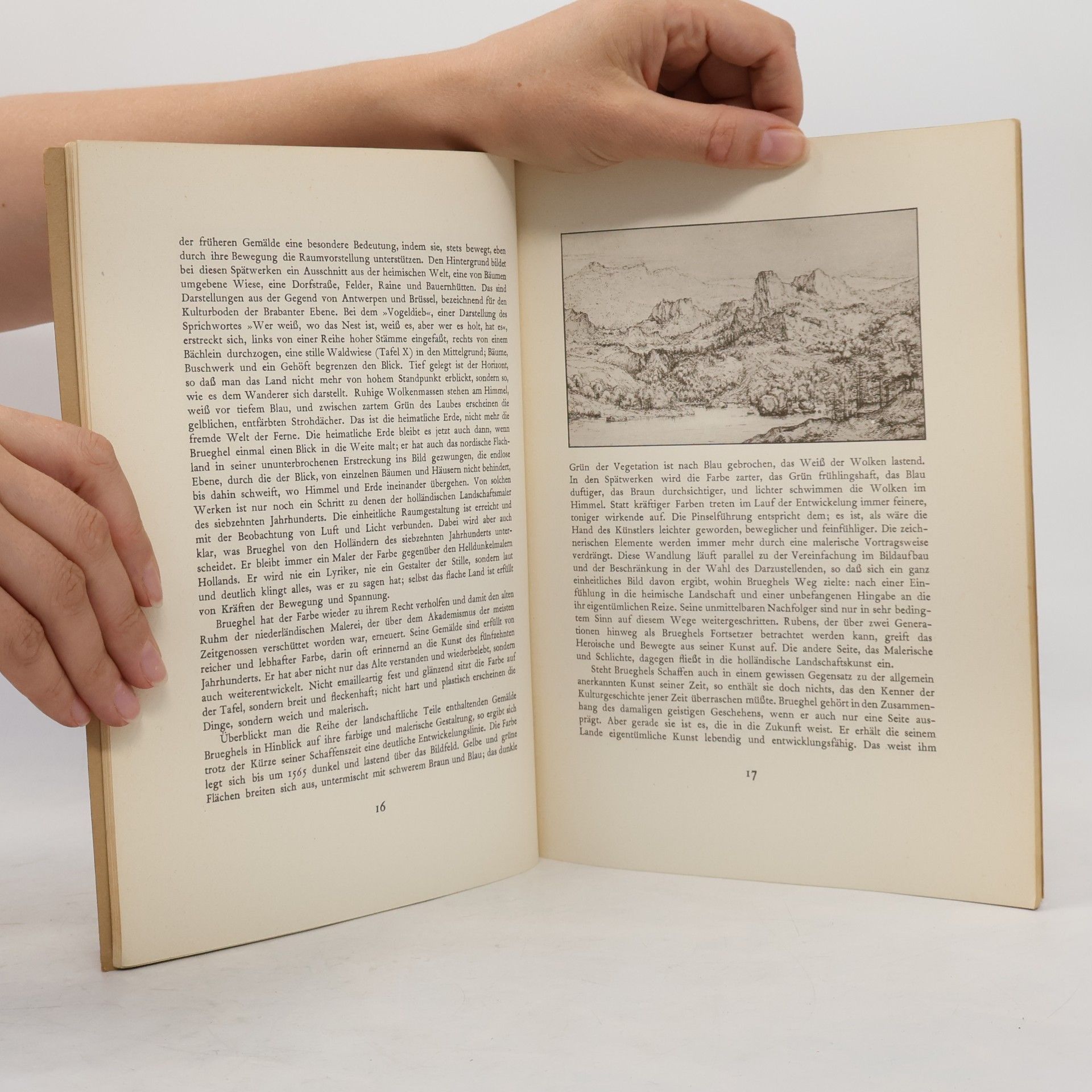 kolektiv Pieter Brueghel: Landschaften