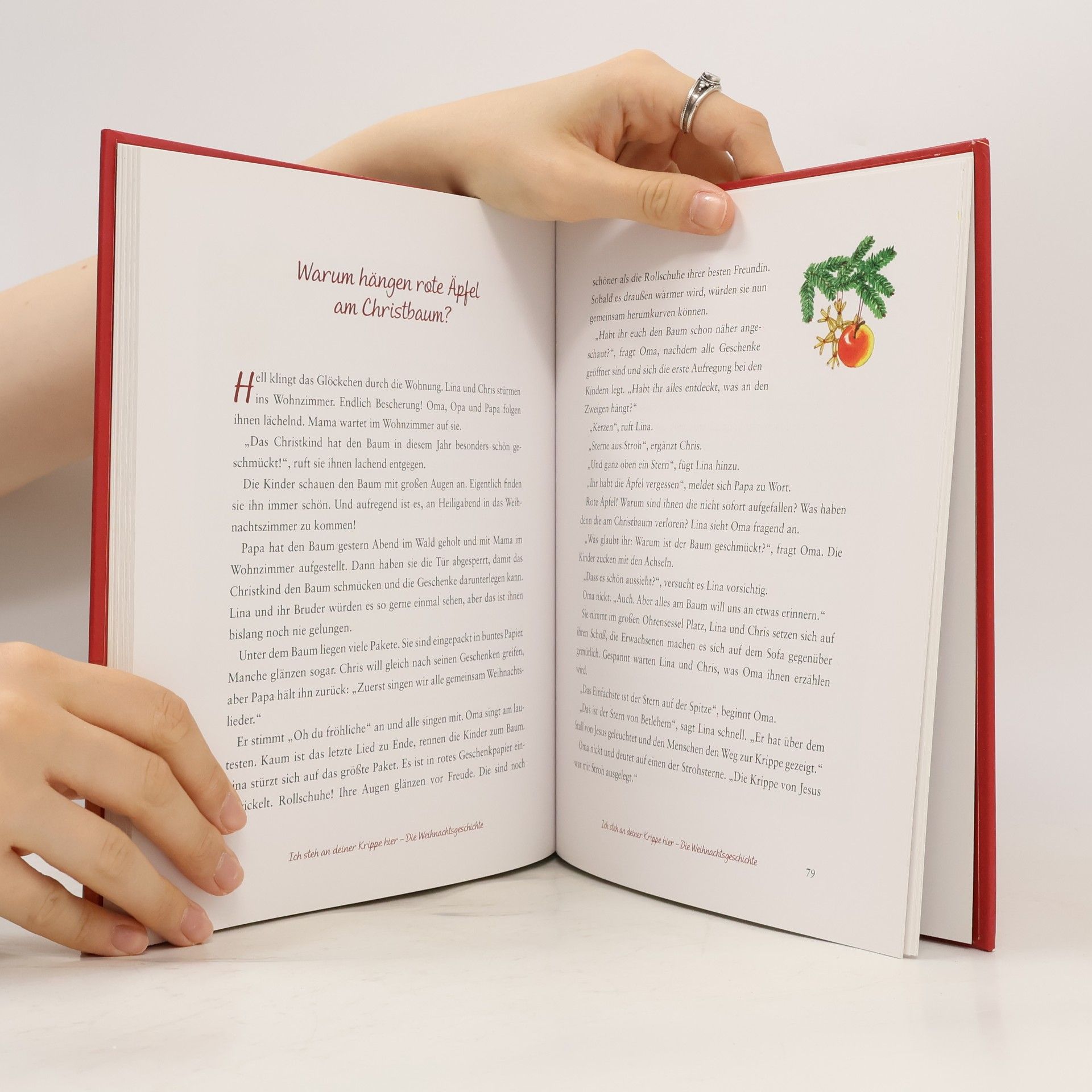 Stephan Sigg Mein großes Buch zur Weihnachtszeit