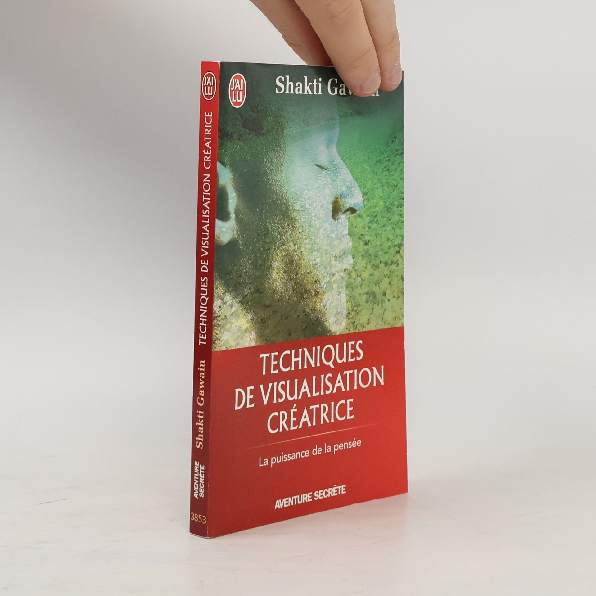 Shakti Gawain Techniques de visualisation créatrice