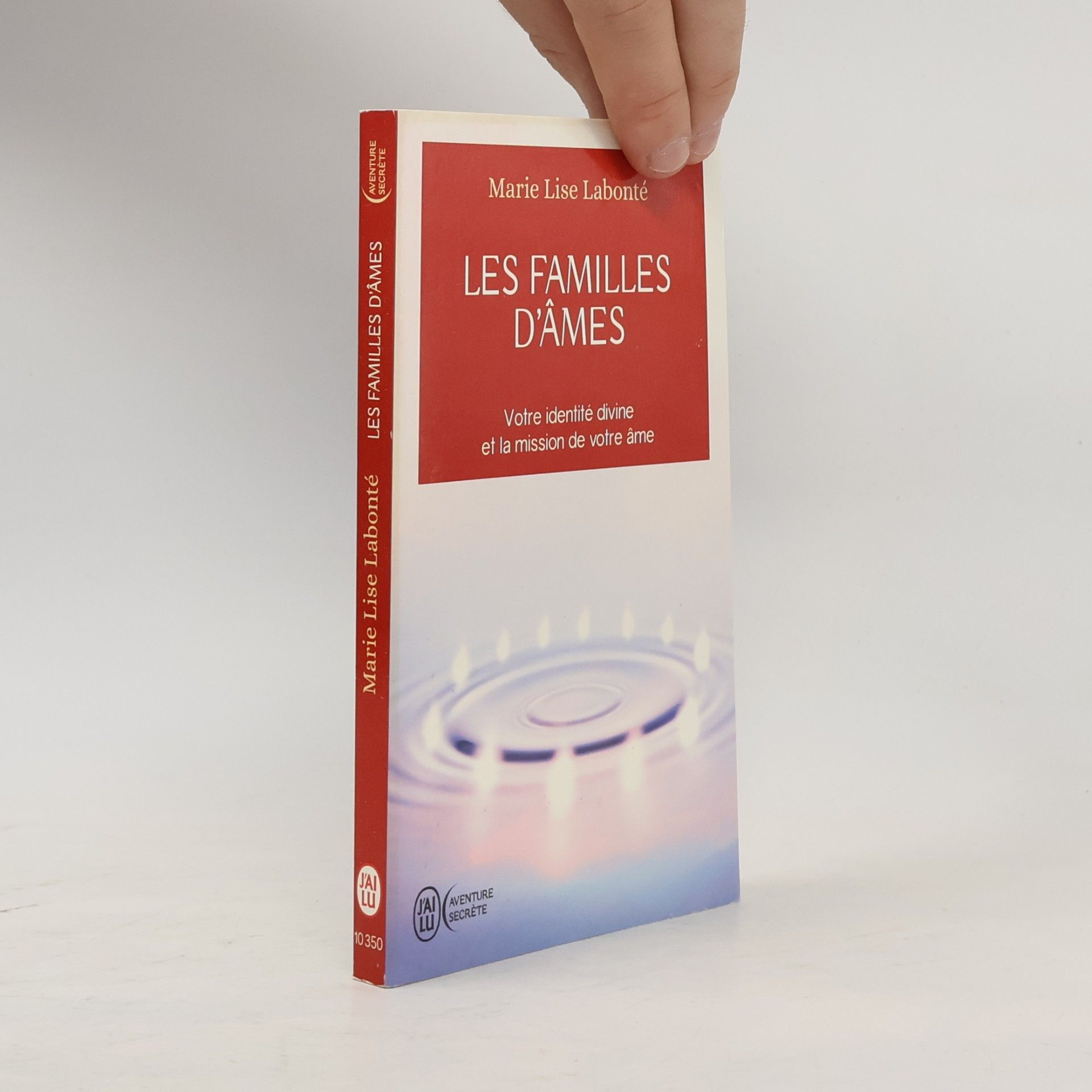 Marie Lise Labonté Les familles d'âmes
