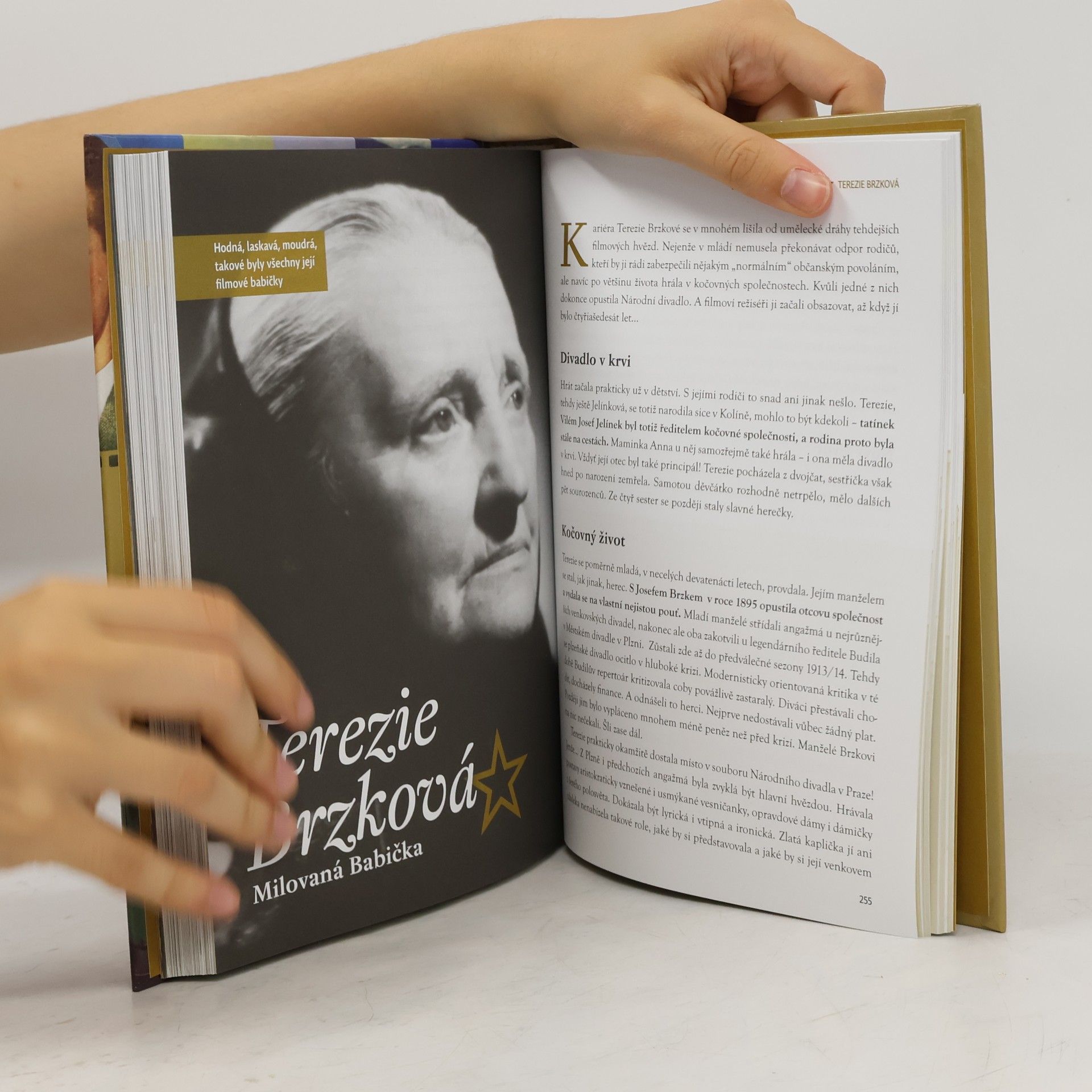 Alžběta Nagyová Hvězdy první republiky: 50 ikon prvorepublikového i protektorátního filmu