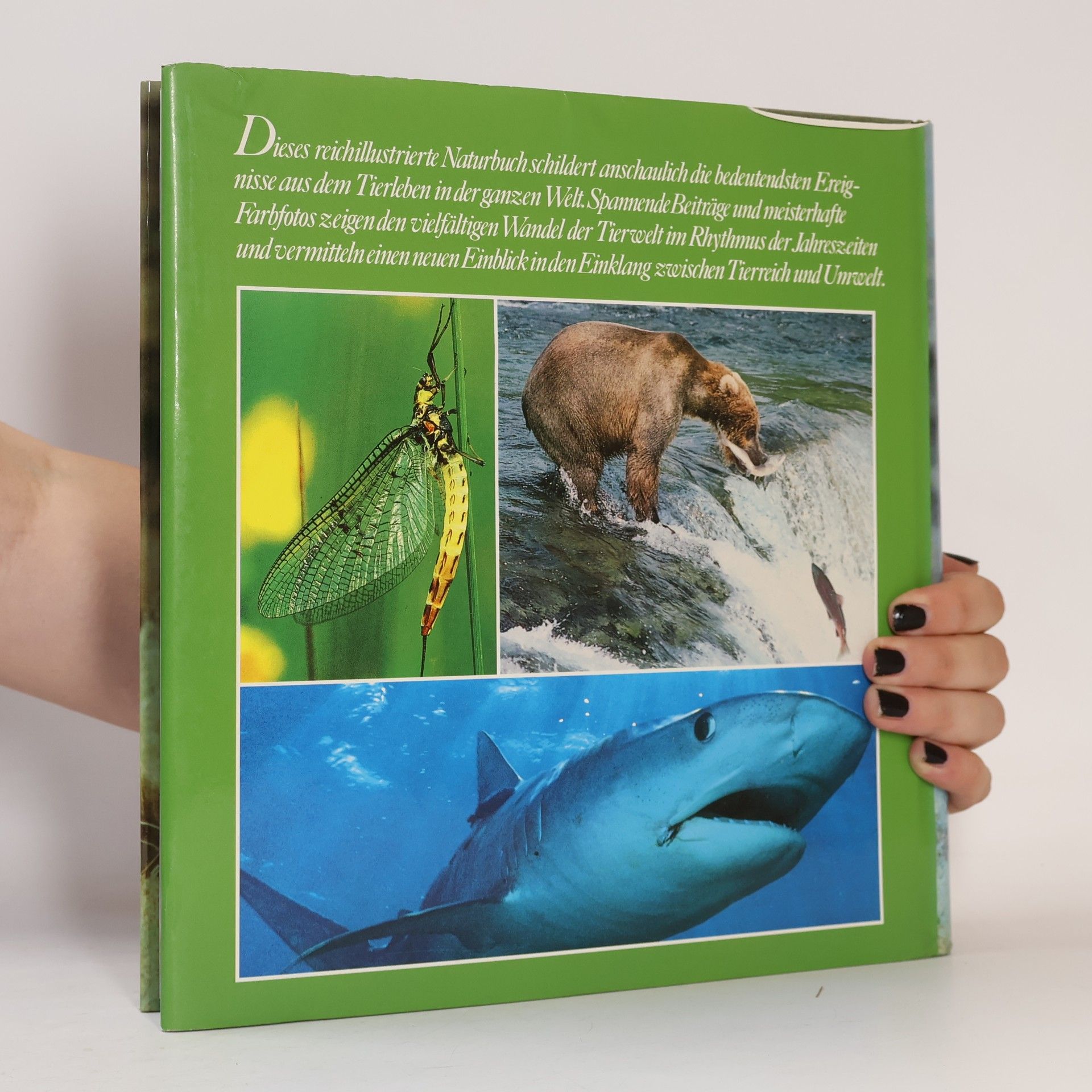 Autorenkollektiv Die faszinierende Welt der Tiere