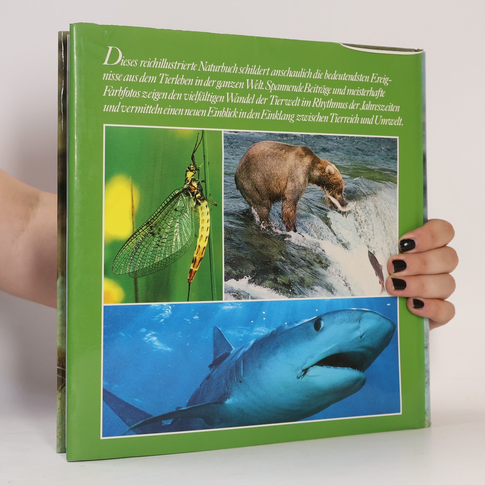 Autorenkollektiv Die faszinierende Welt der Tiere