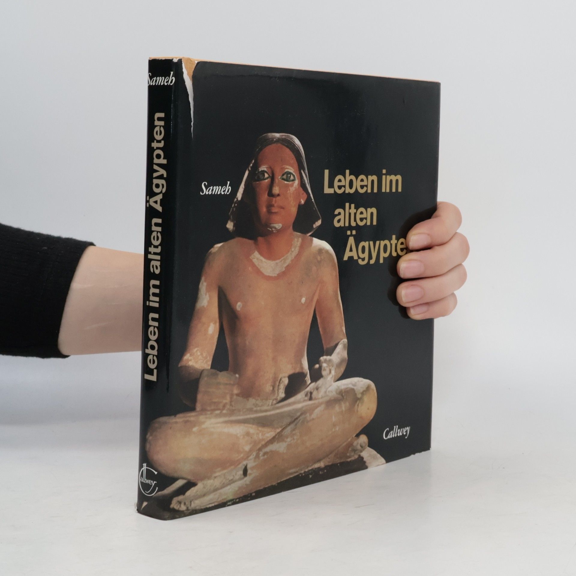 Waley-el-dine Sameh Leben im Alten Ägypten