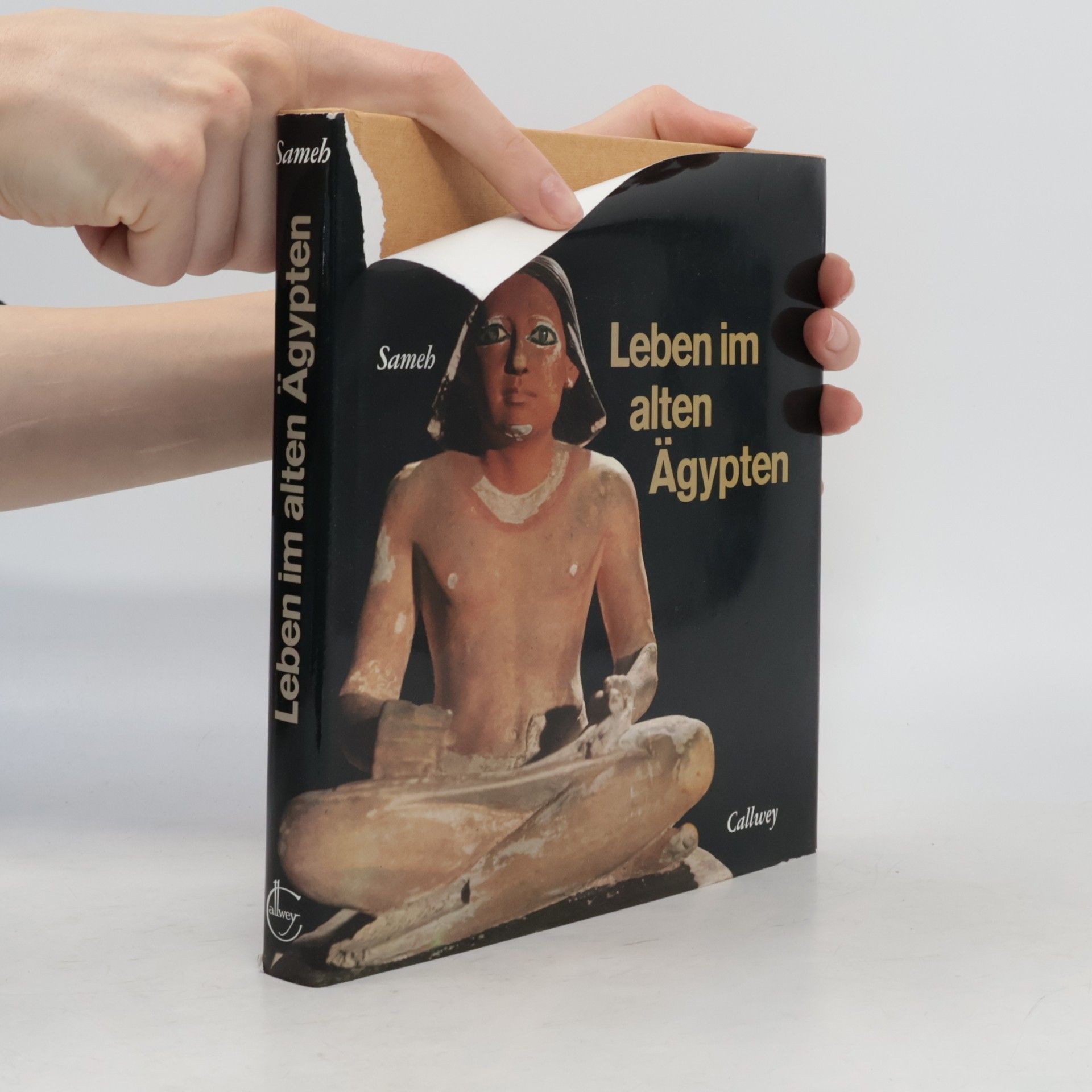 Waley-el-dine Sameh Leben im Alten Ägypten
