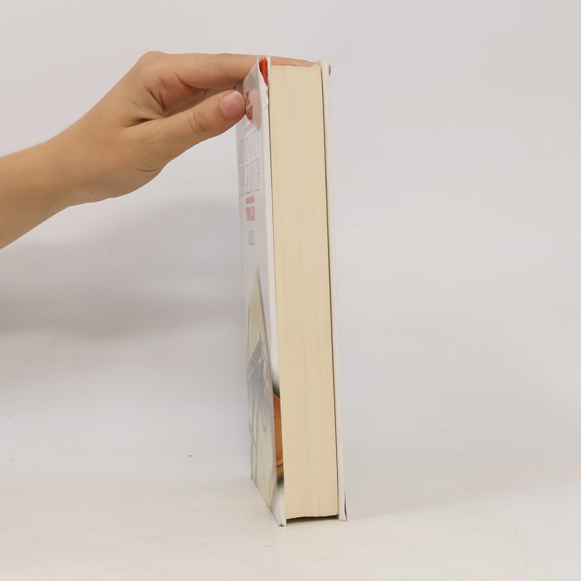 Bill Granger Hemingways Tagebuch
