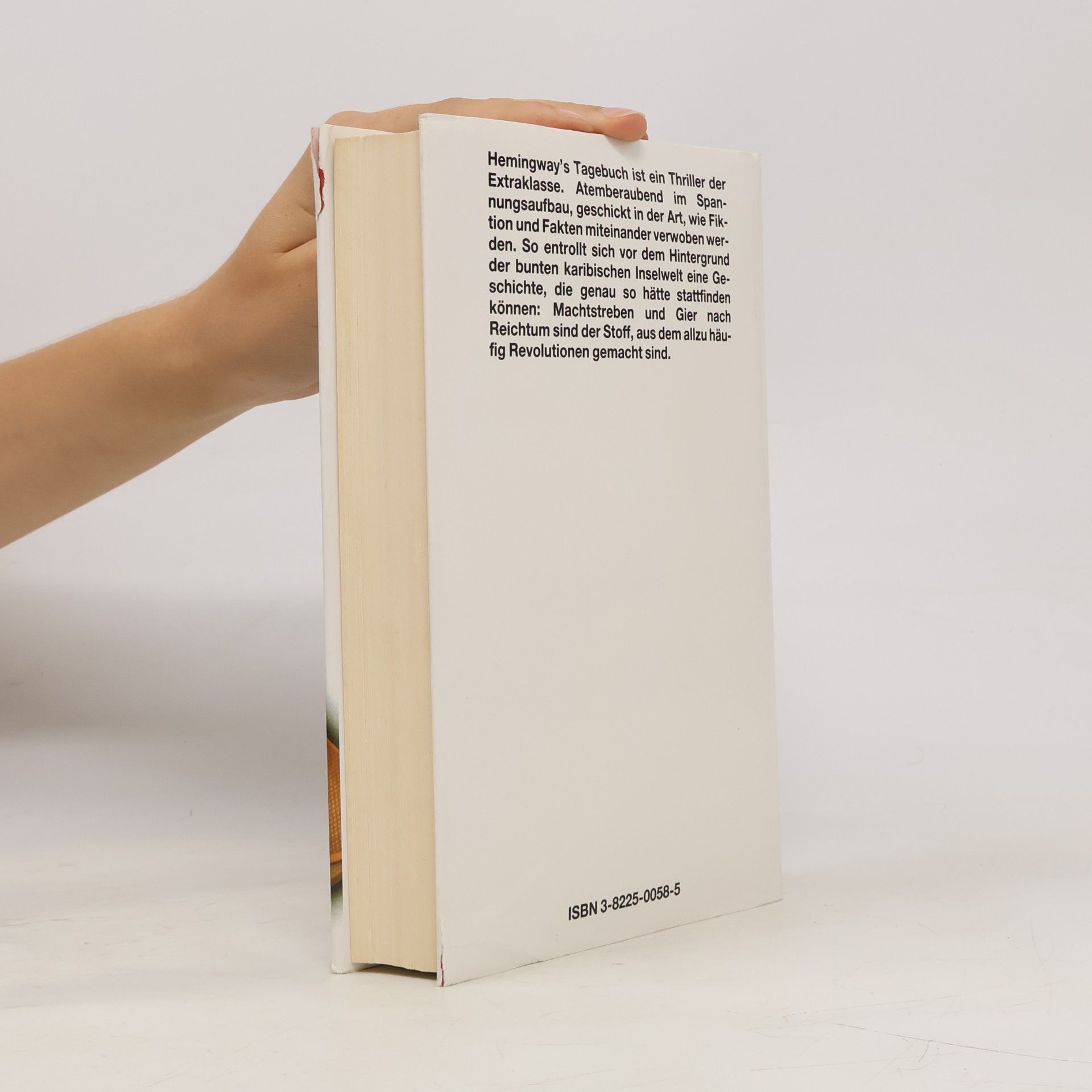 Bill Granger Hemingways Tagebuch