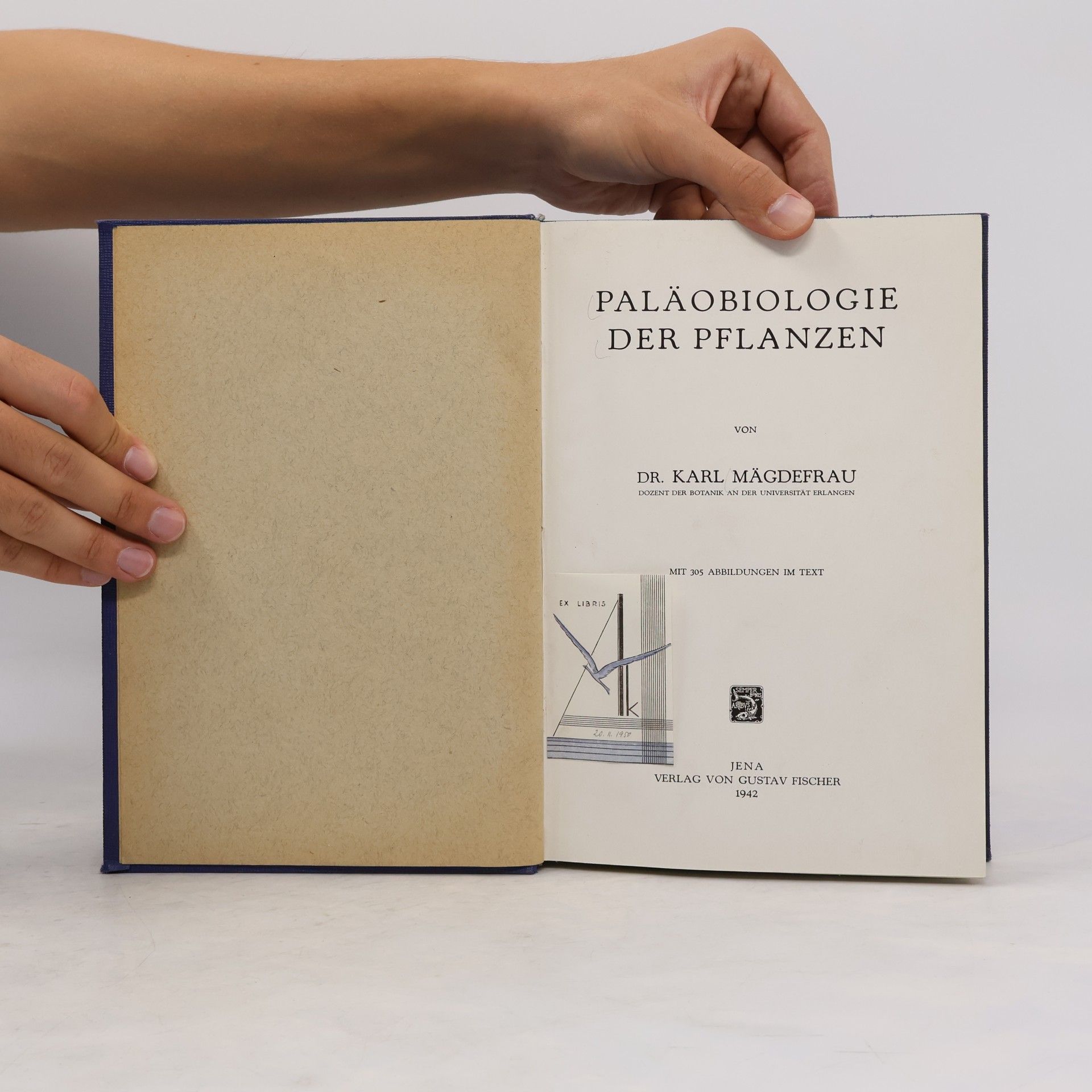 Karl Mägdefrau Paläobiologie der Pflanzen