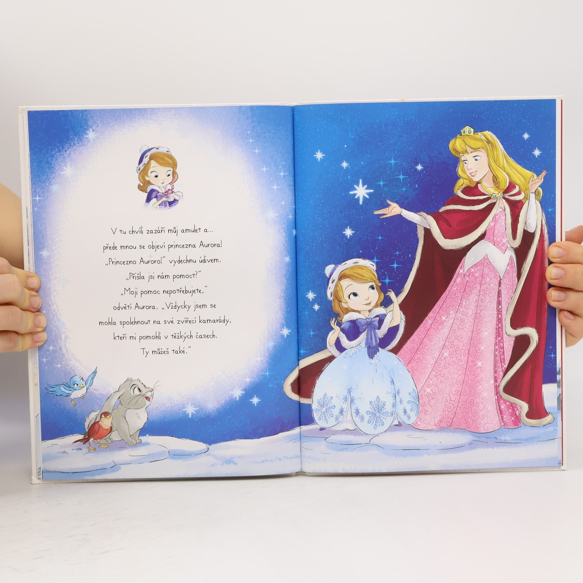 Walt Disney Sofie První - Zimní příběh