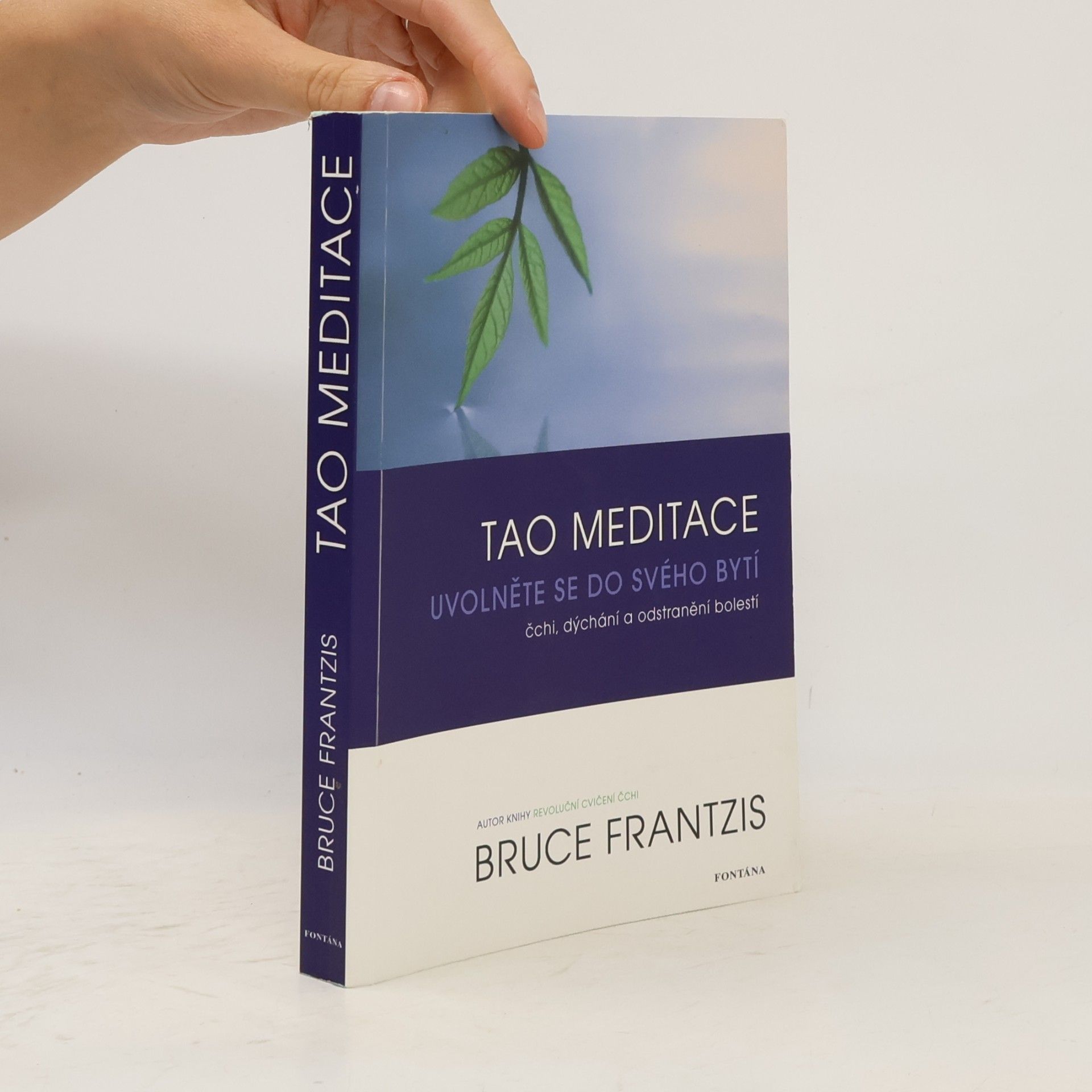 Bruce Kumar Frantzis Tao meditace. Uvolněte se do svého bytí: čchi, dýchání a odstranění bolesti