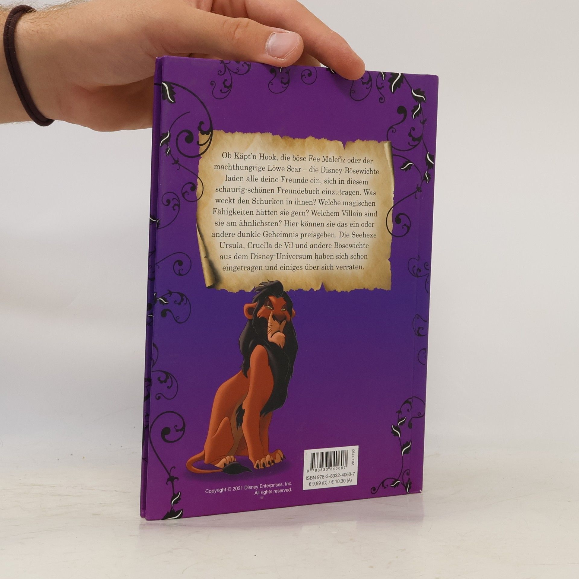 Panini Disney Villains: Meine Freunde