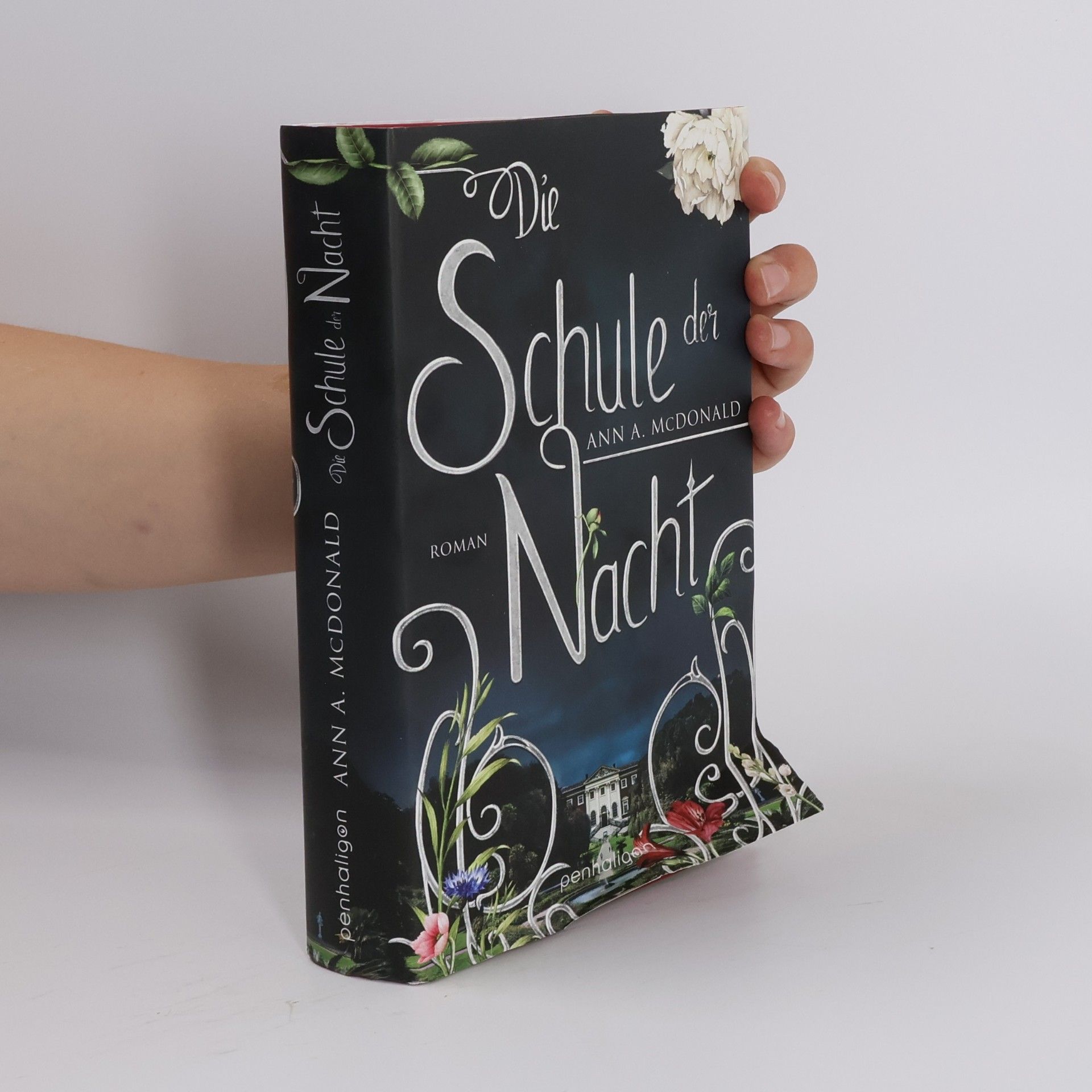 Ann A. McDonald Die Schule der Nacht