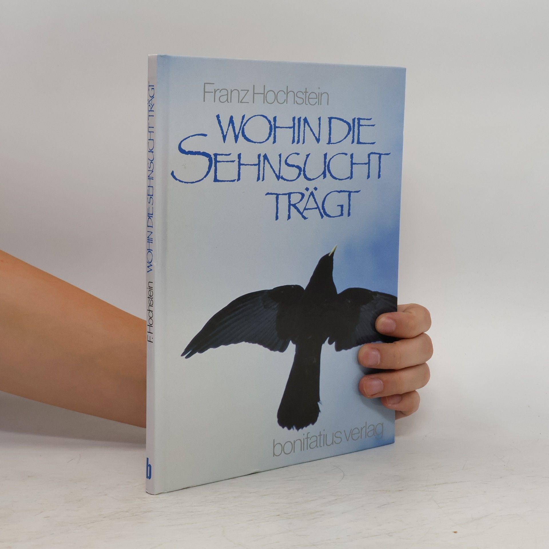 Franz Hochstein Wohin die Sehnsucht trägt