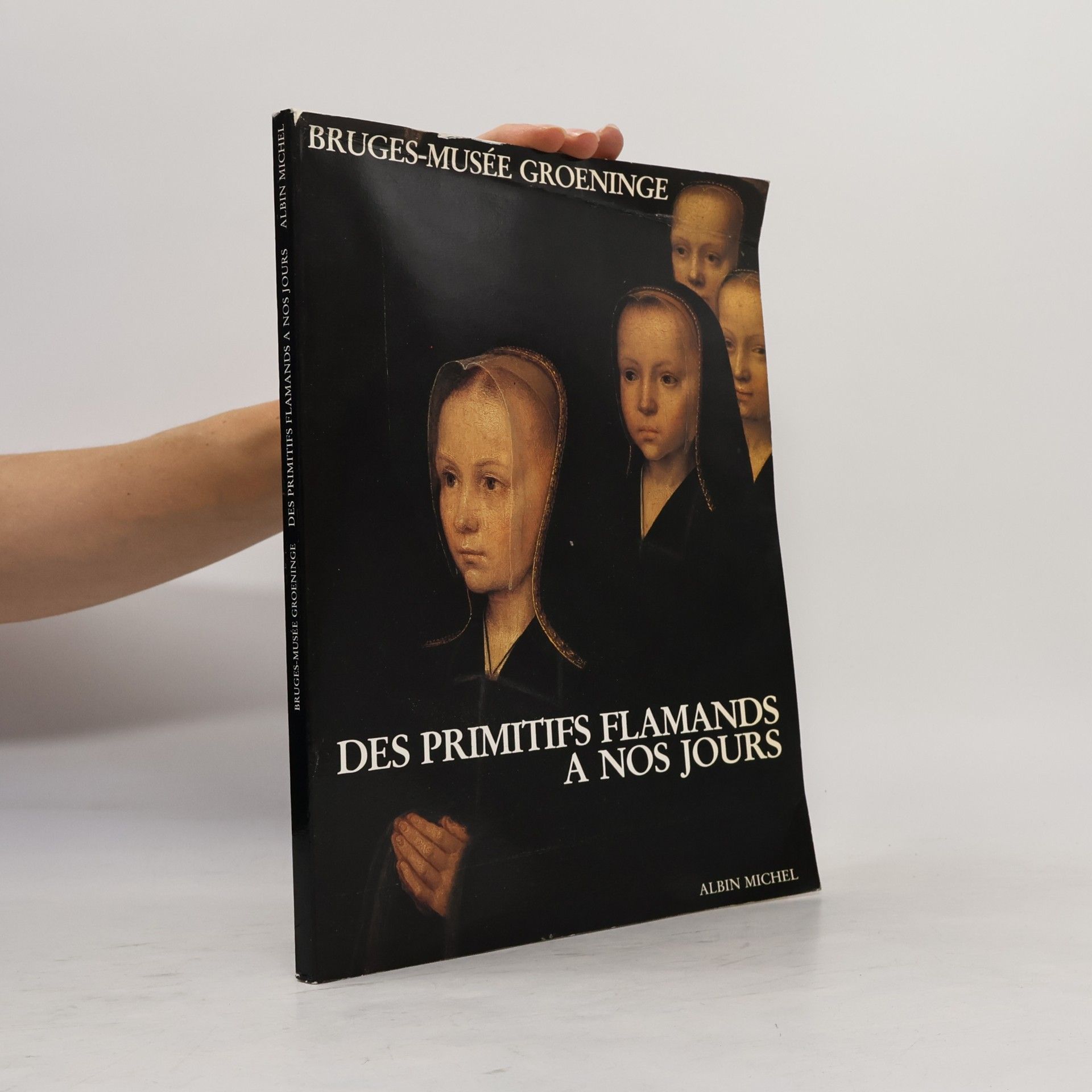 Dirk de Vos Bruges, Musée Groeninge: Des primitifs flamands à nos jours