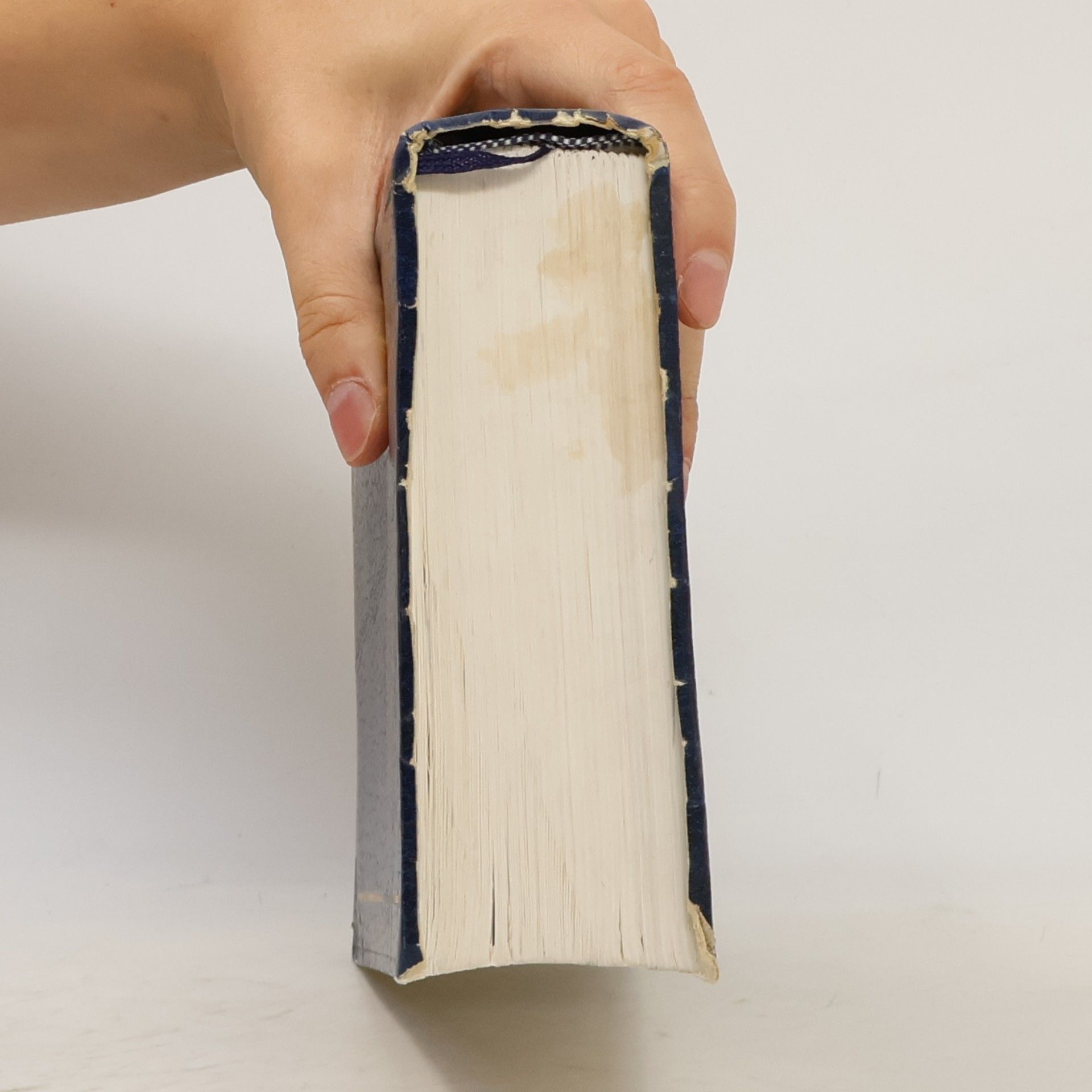 Various authors Good News Bible