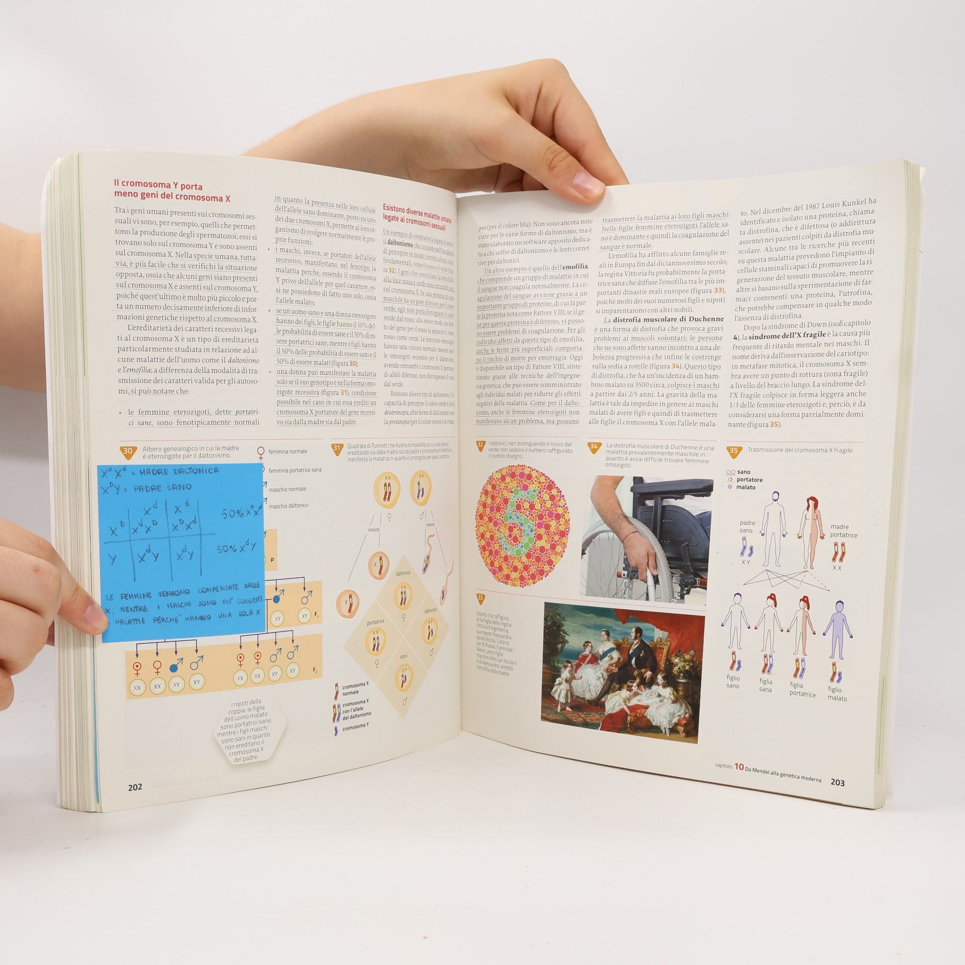 Helena Curtis Introduzione alla biologia.azzurro. Per le scuole superiori. Con e-book. Con espansione online