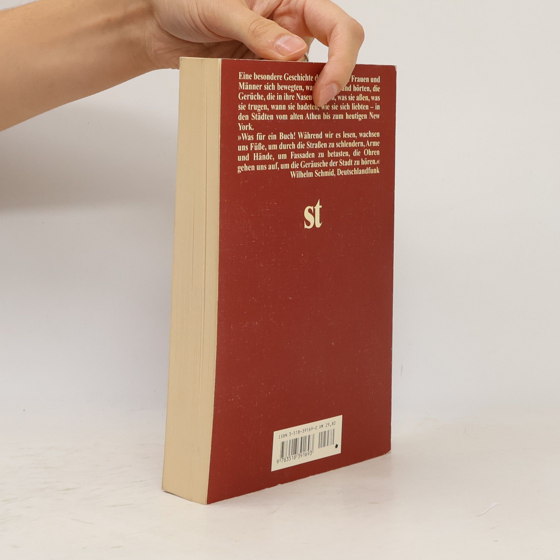Richard Sennett Fleisch und Stein