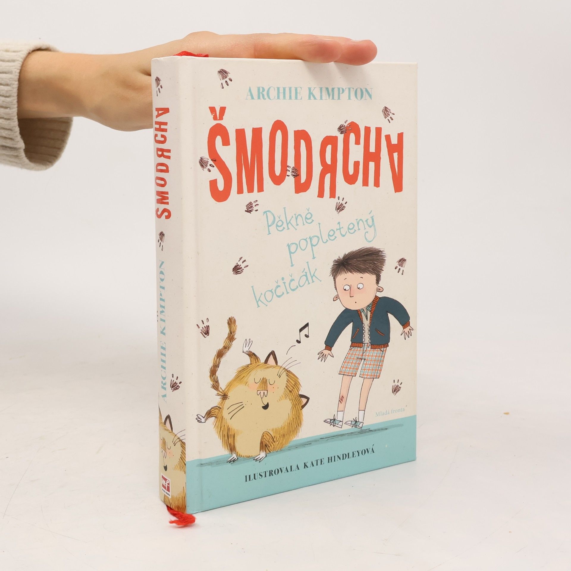 Šmodrcha : pěkně popletený kočičák