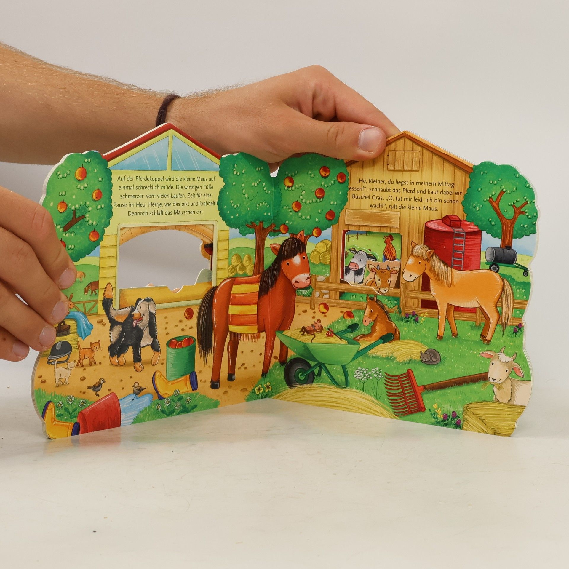 Trötsch Verlag Trötsch Auf dem Bauernhof Pappenbuch