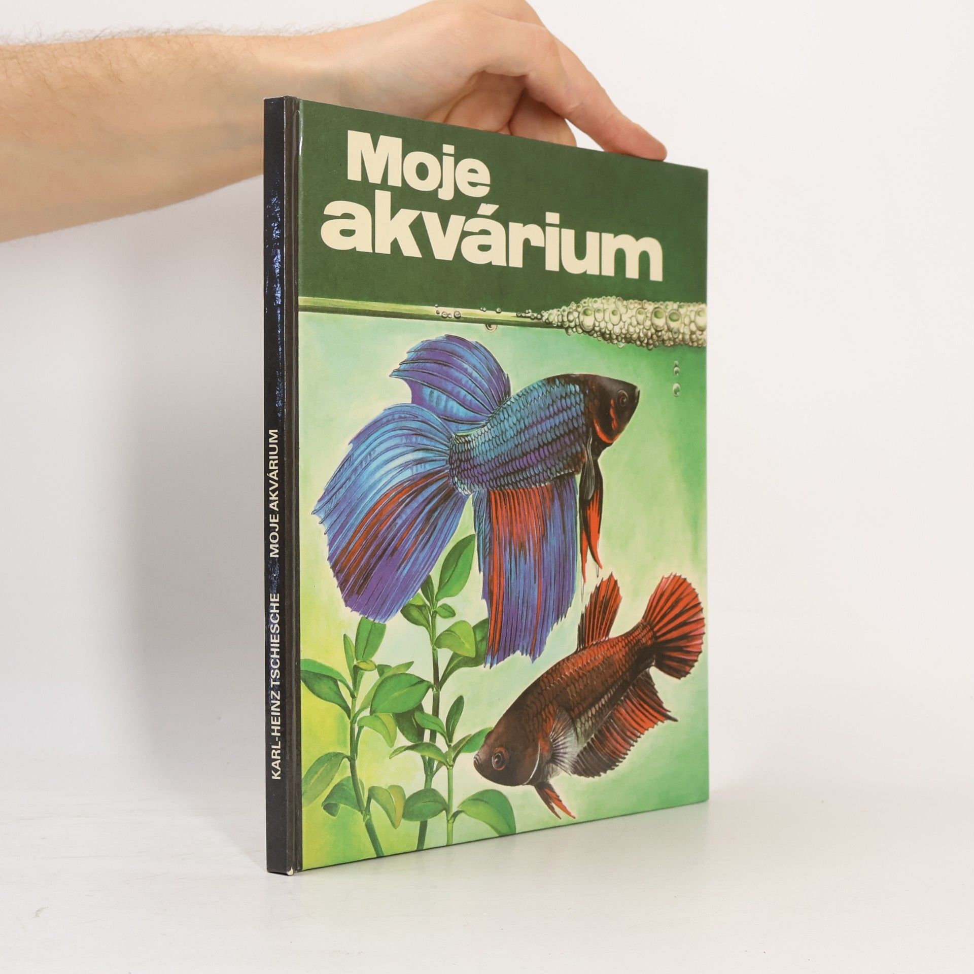 Gisela Flächsig Moje akvárium