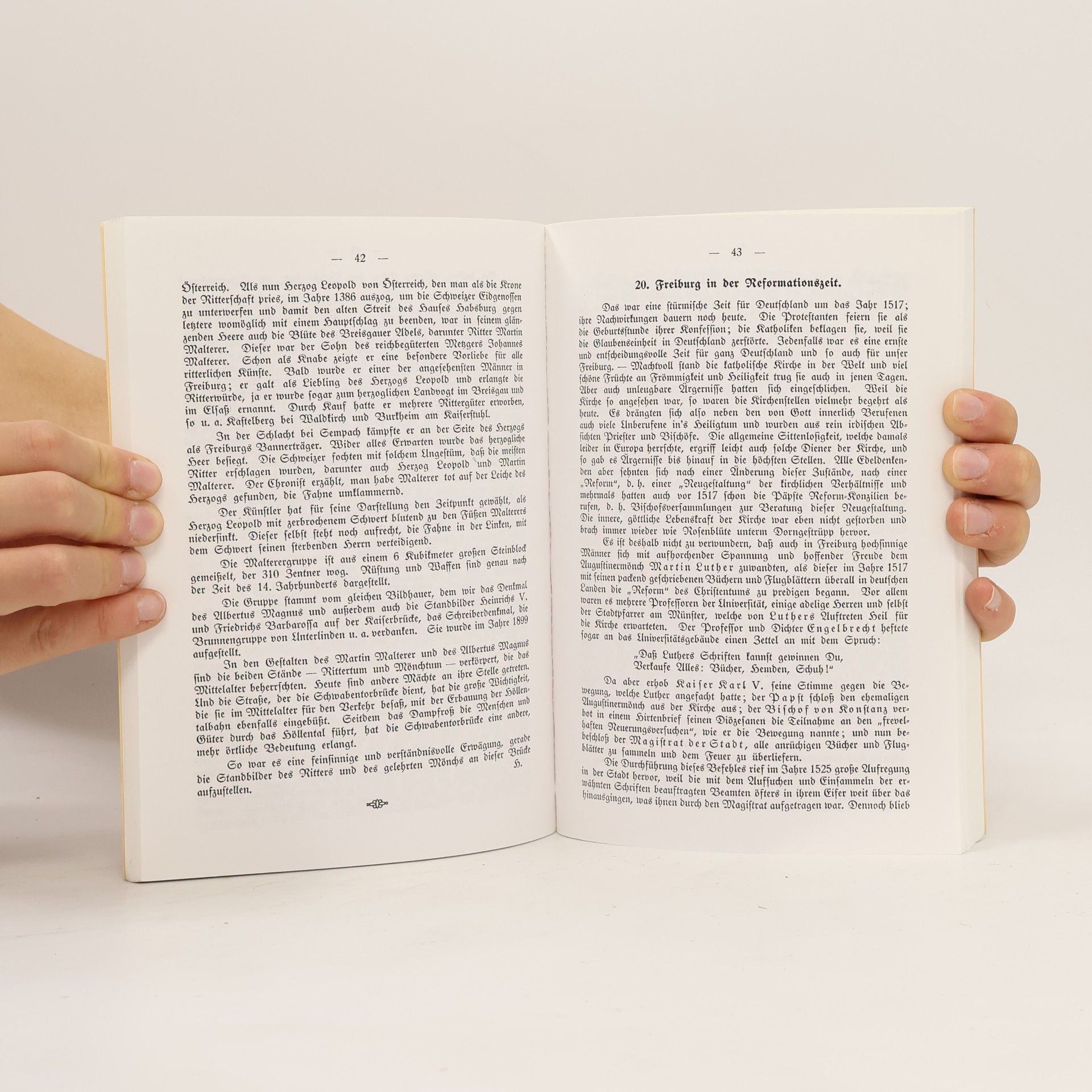 Prof. F. Heilig Weder Himmel noch Hölle - Freiburg und der Breisgau in 77 historischen Beiträgen - Reprint von 1914