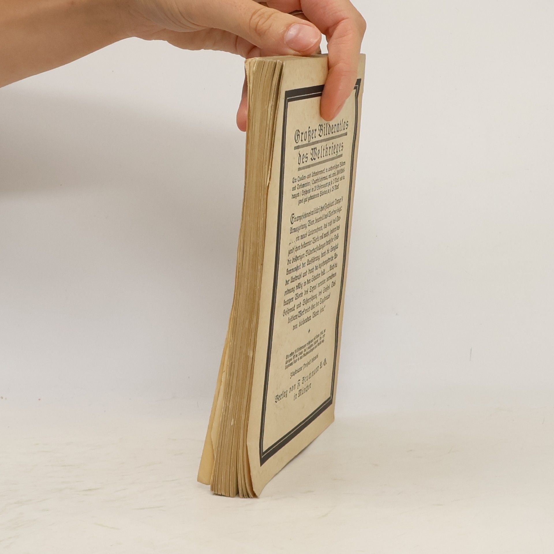 Houston Stewart Chamberlain Politische Ideale