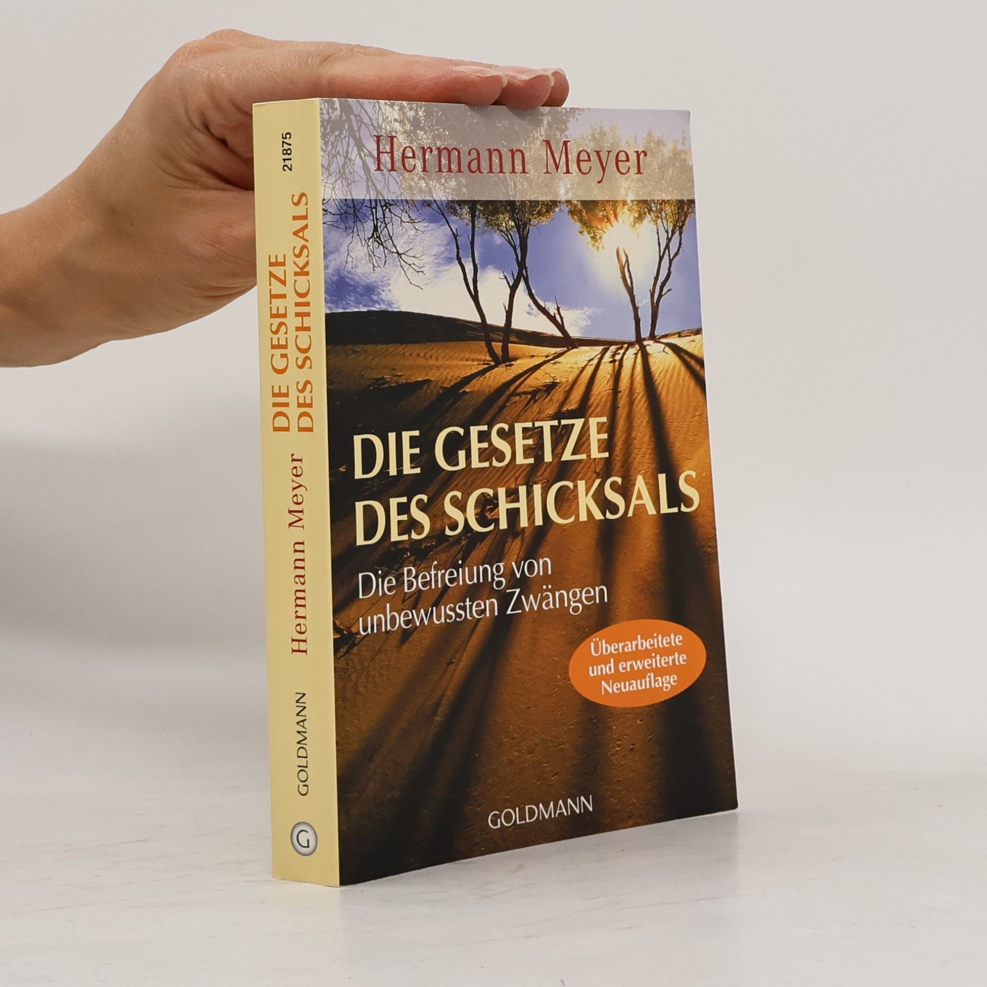 Herman Meyer Die Gesetze des Schicksals