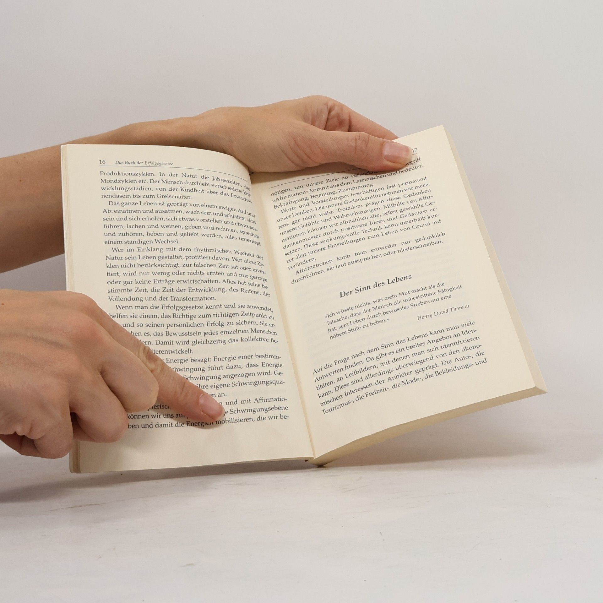Kurt Tepperwein Das Buch der Erfolgsgesetze