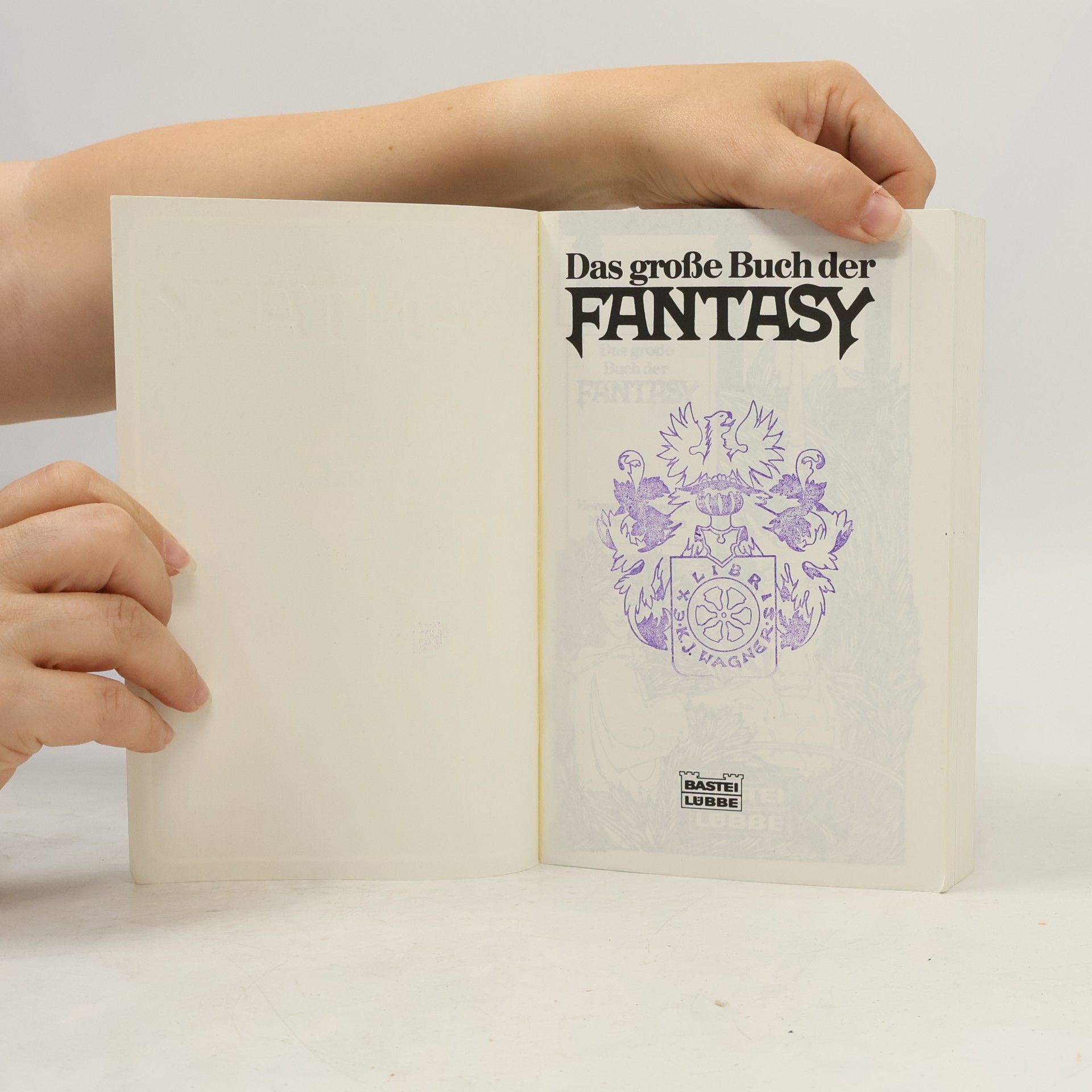Michael Görden Das grosse Buch der Fantasy