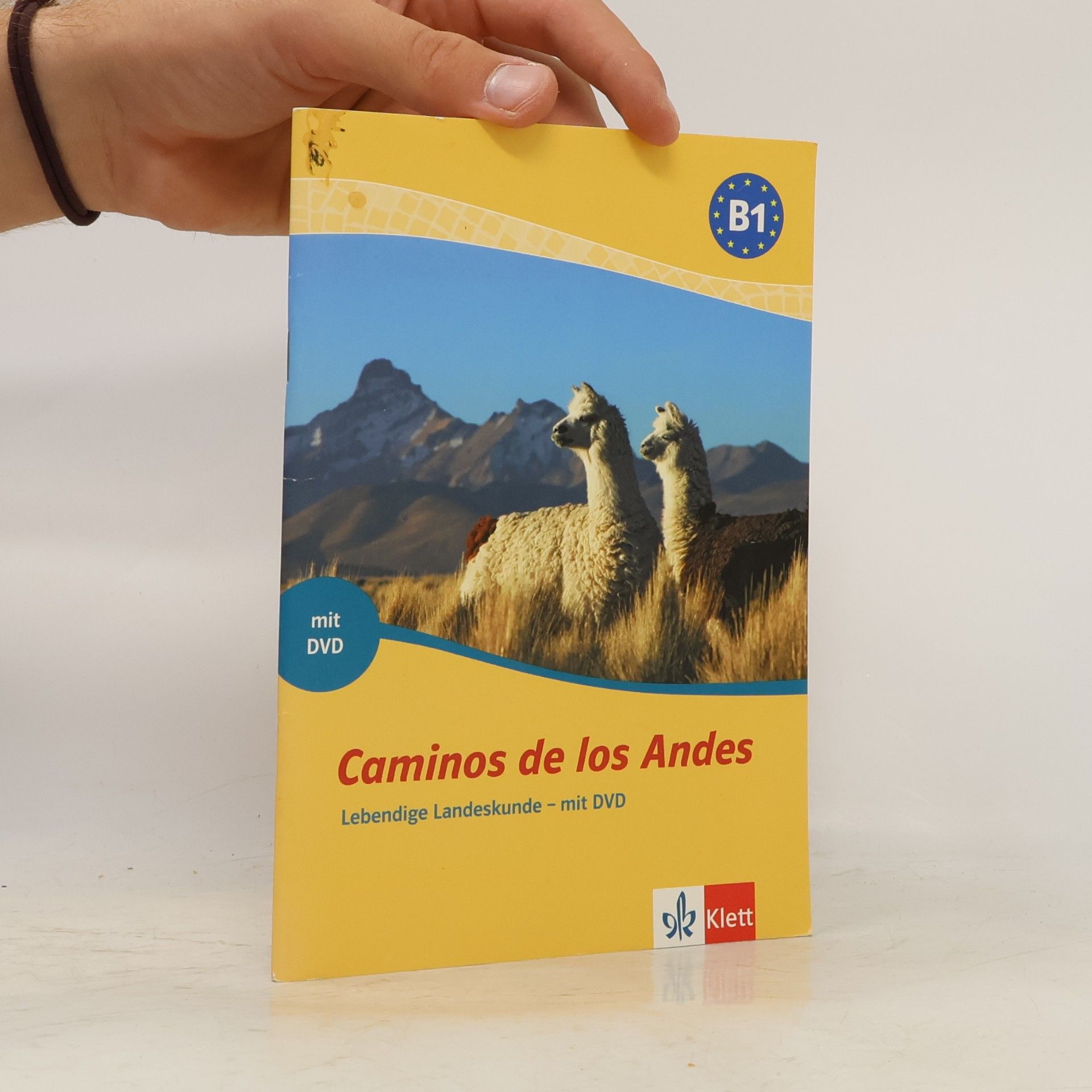 Lucía Borrero Caminos de los Andes