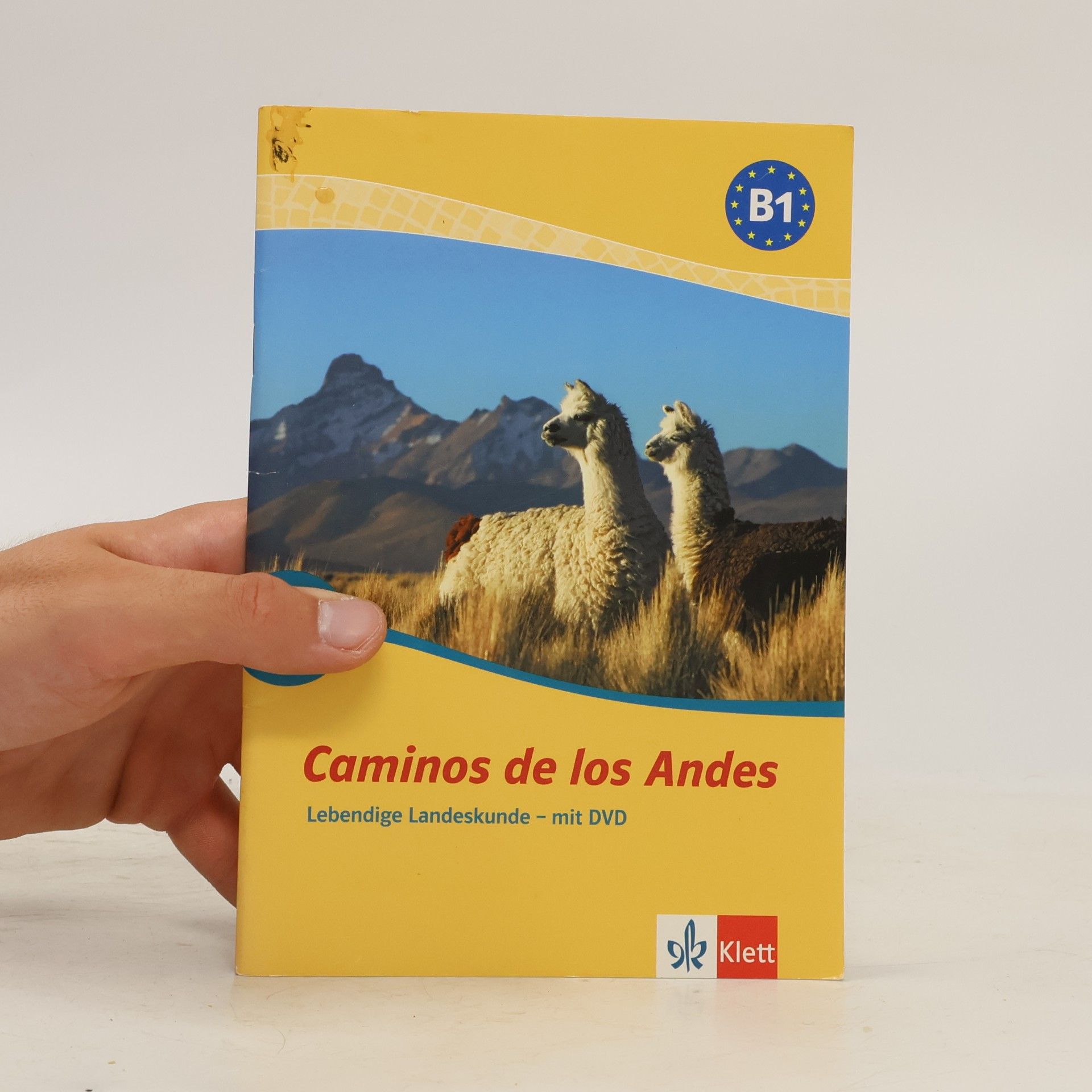 Lisi Barros-Sehringer Caminos de los Andes