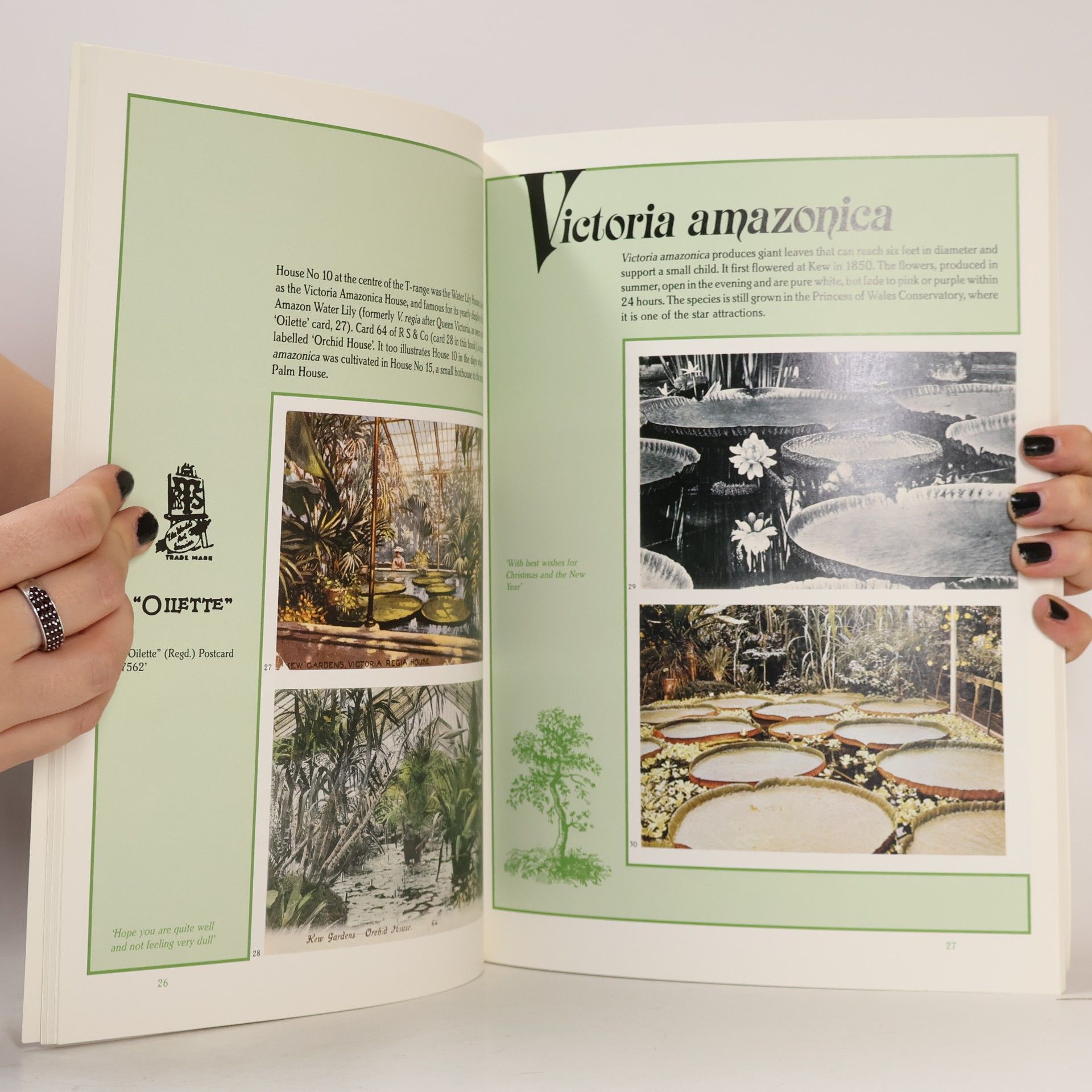 Gwilym Lewis Postcards from Kew
