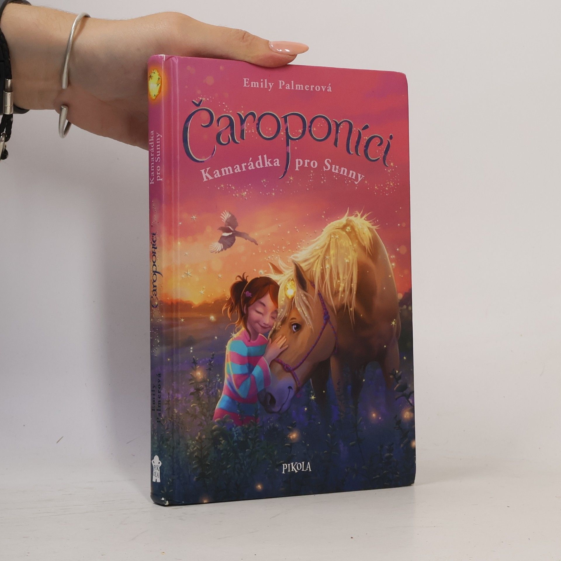 Čaroponíci. Kamarádka pro Sunny