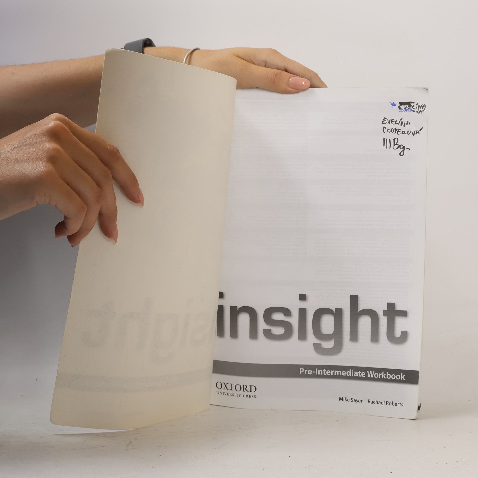 Mike Sayer Insight : Pre-intermediate Workbook