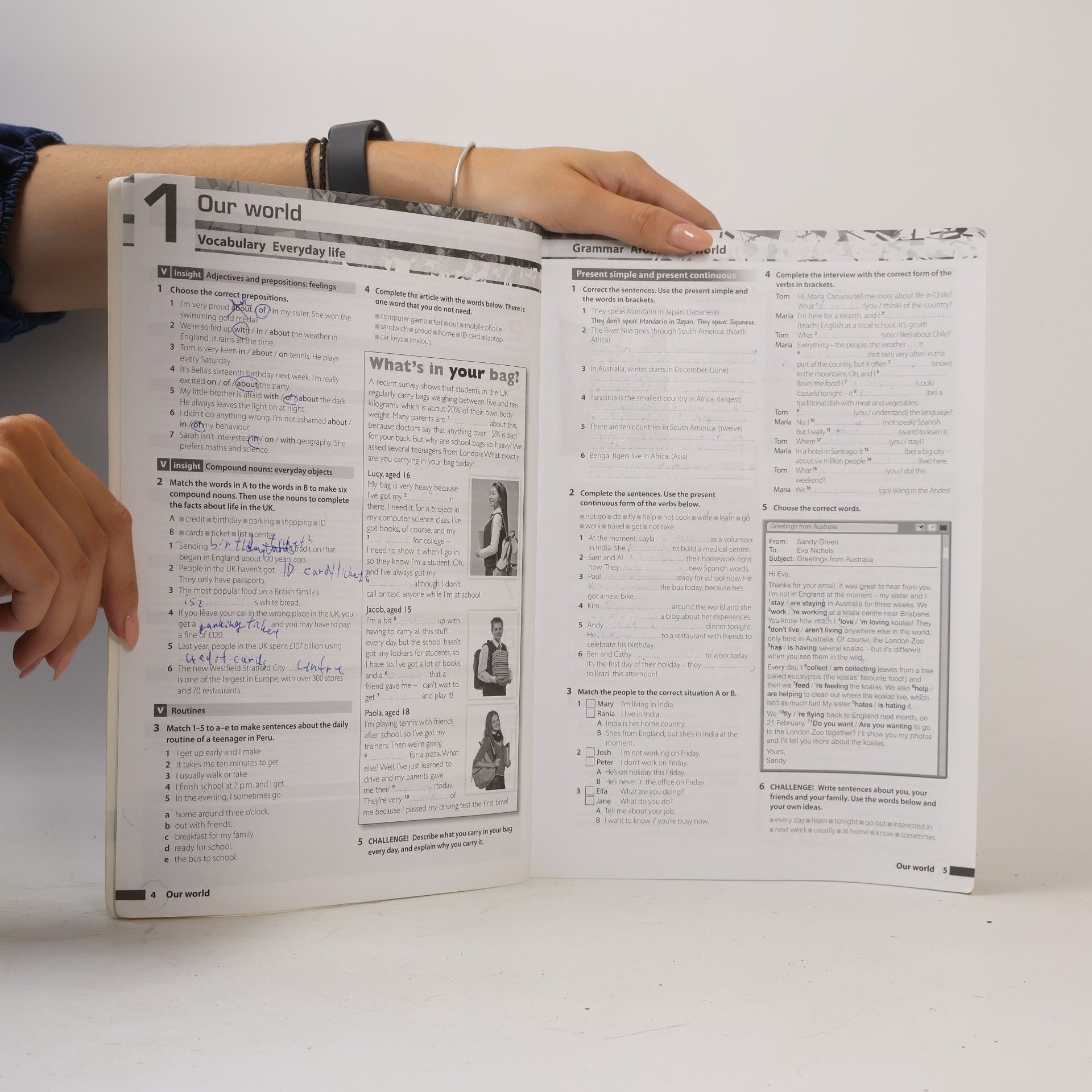 Mike Sayer Insight : Pre-intermediate Workbook