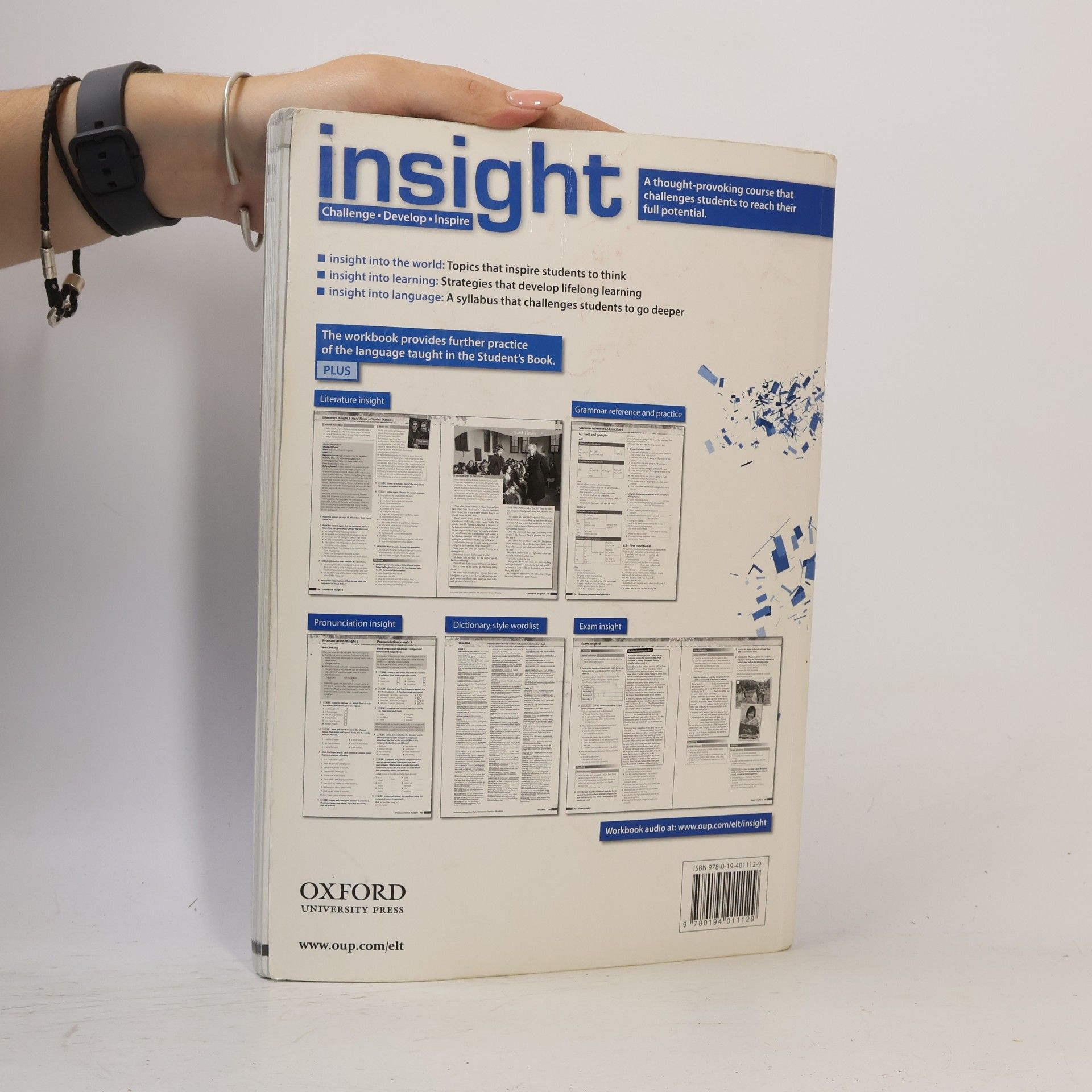 Mike Sayer Insight : Pre-intermediate Workbook